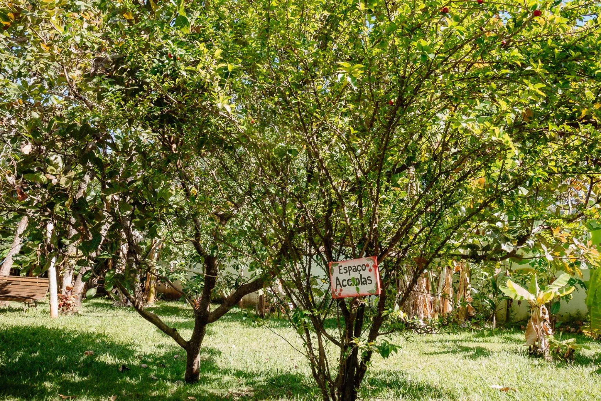 Natural landscape in Pousada Adega Cipo