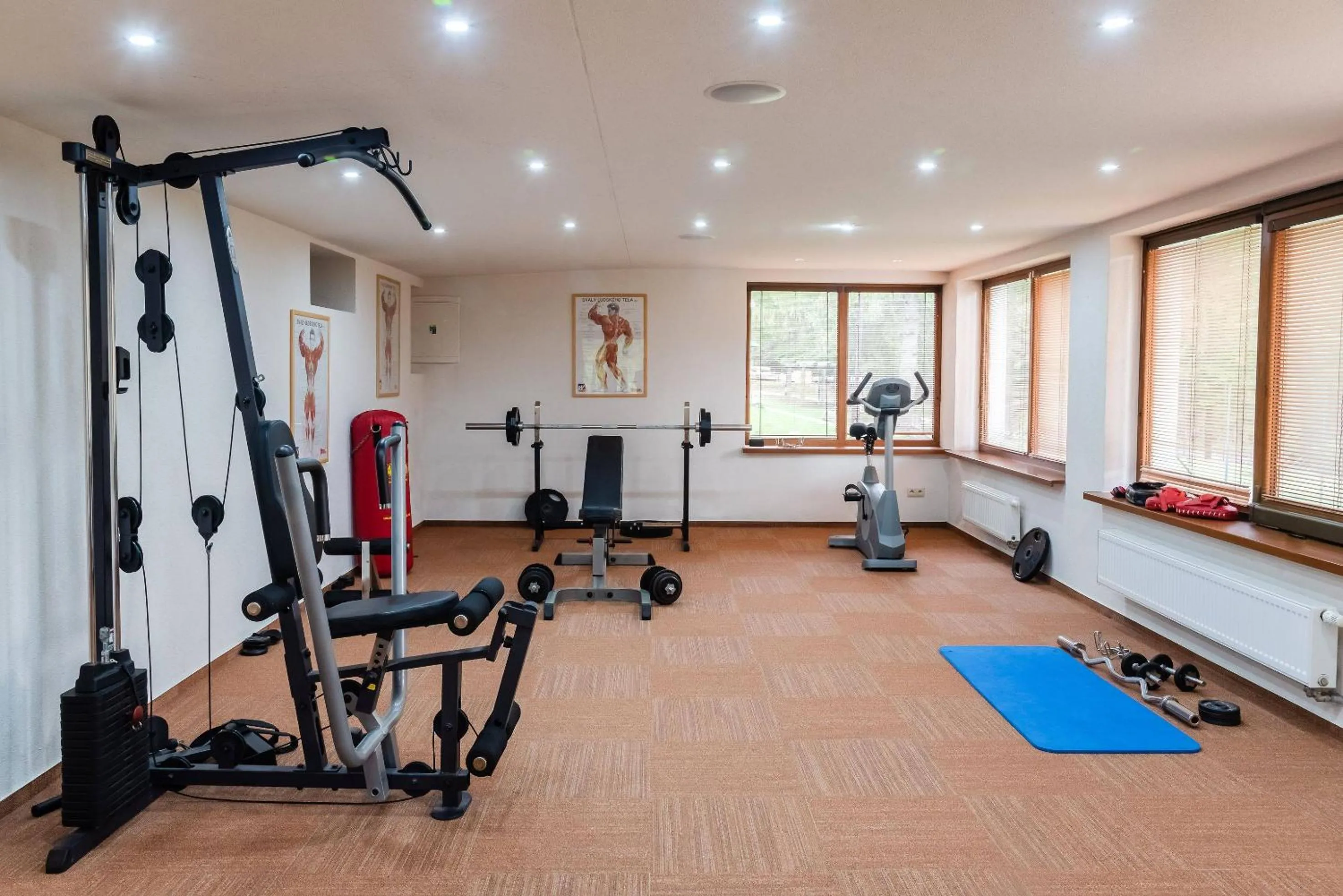 Fitness centre/facilities in Horský hotel Bartoška
