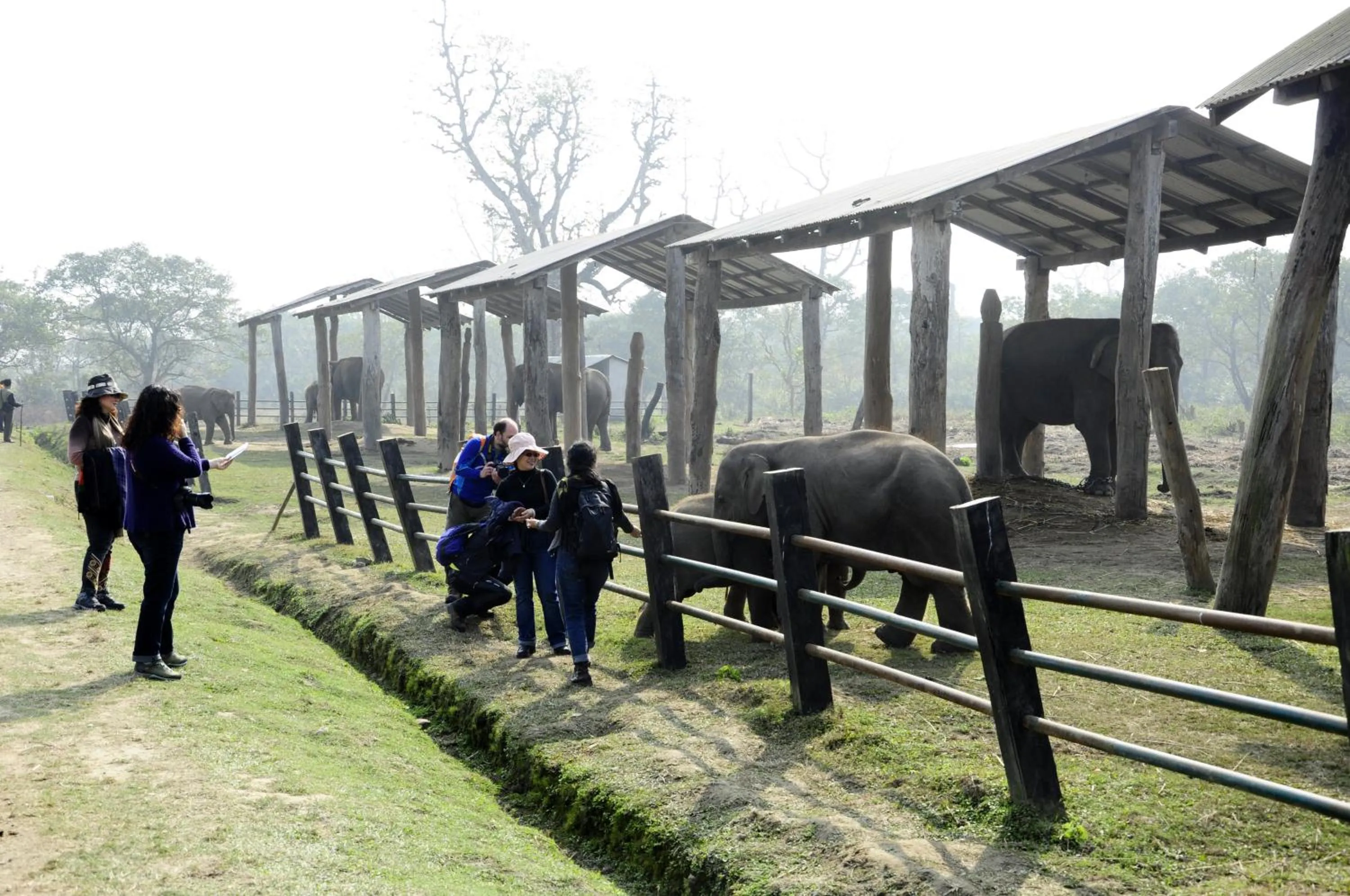 Other in Green Park Chitwan