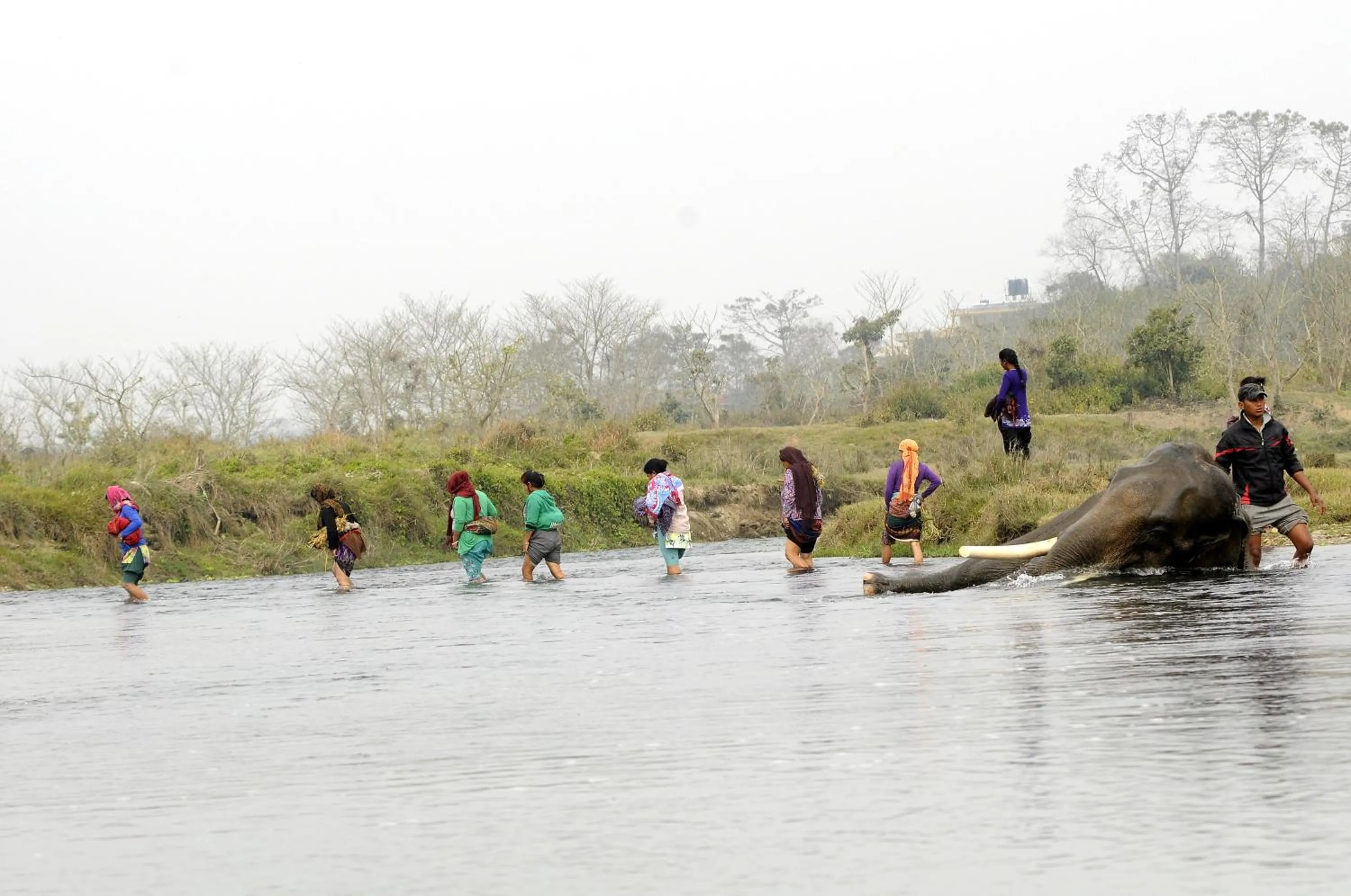Off site in Green Park Chitwan