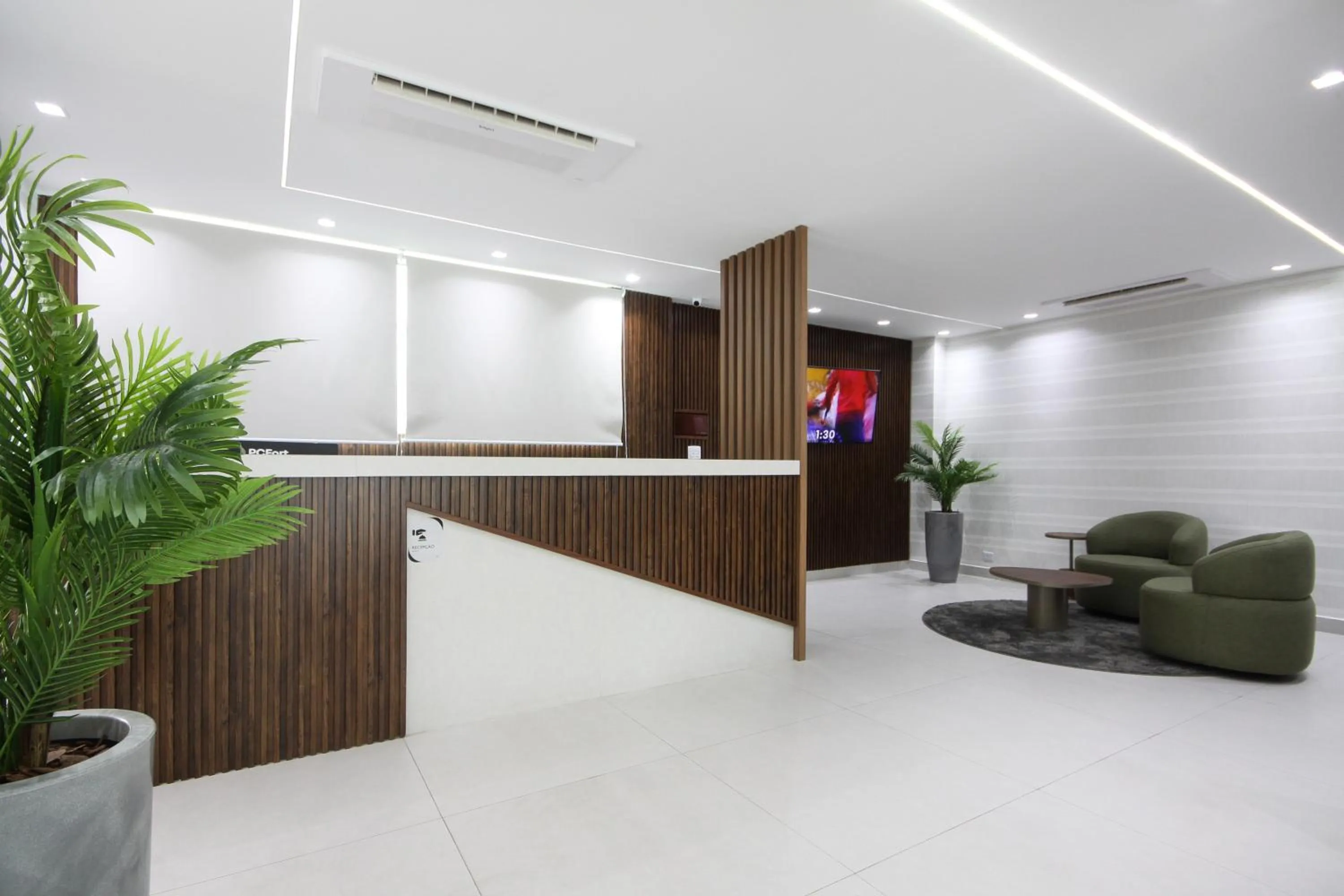 TV and multimedia in Hotel Biz Urban- EXPO CENTER NORTE