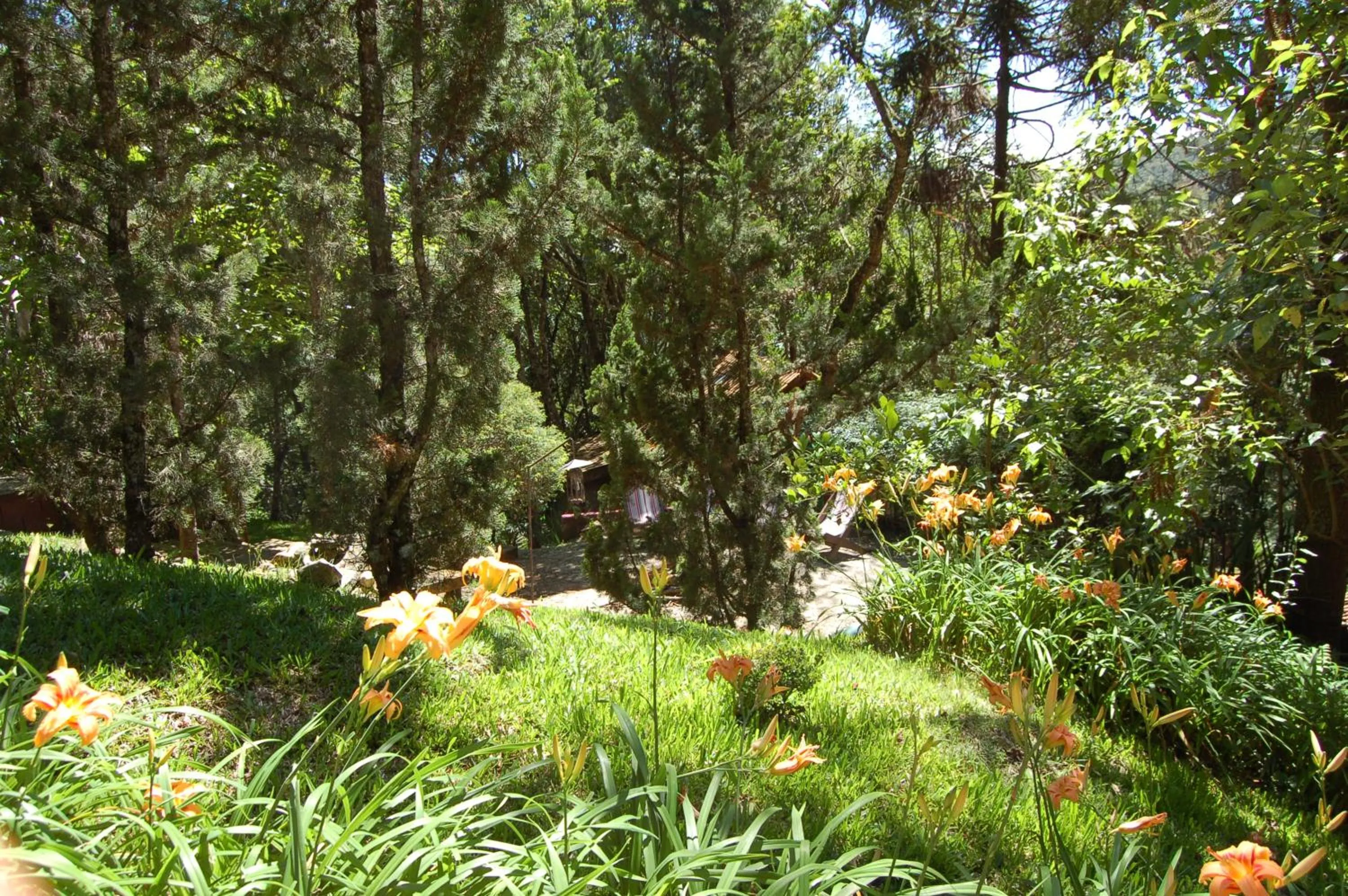 Garden in Pássaro de Fogo