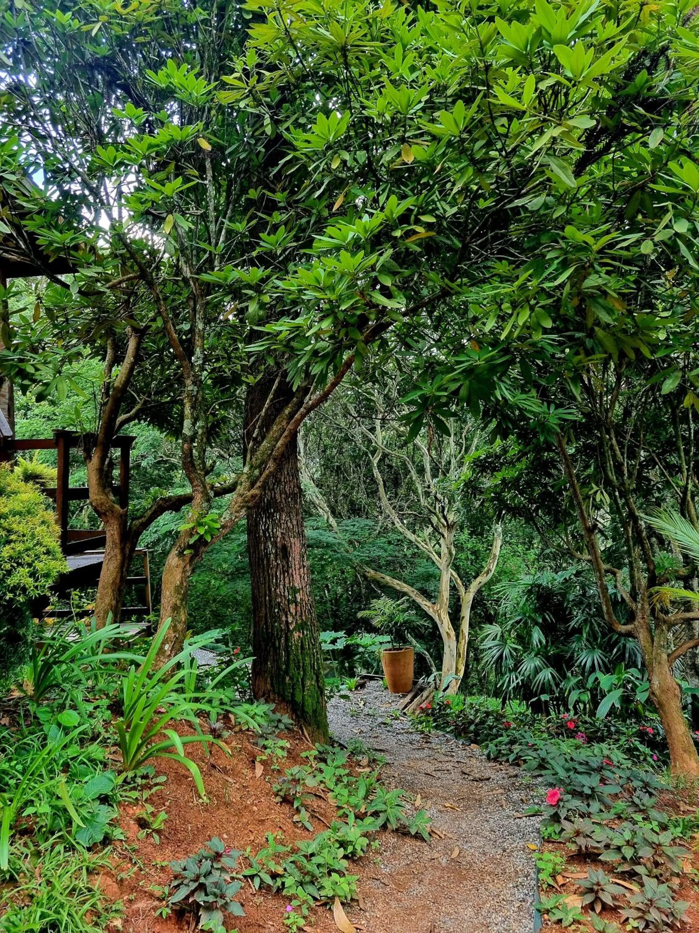 Natural landscape in Pássaro de Fogo