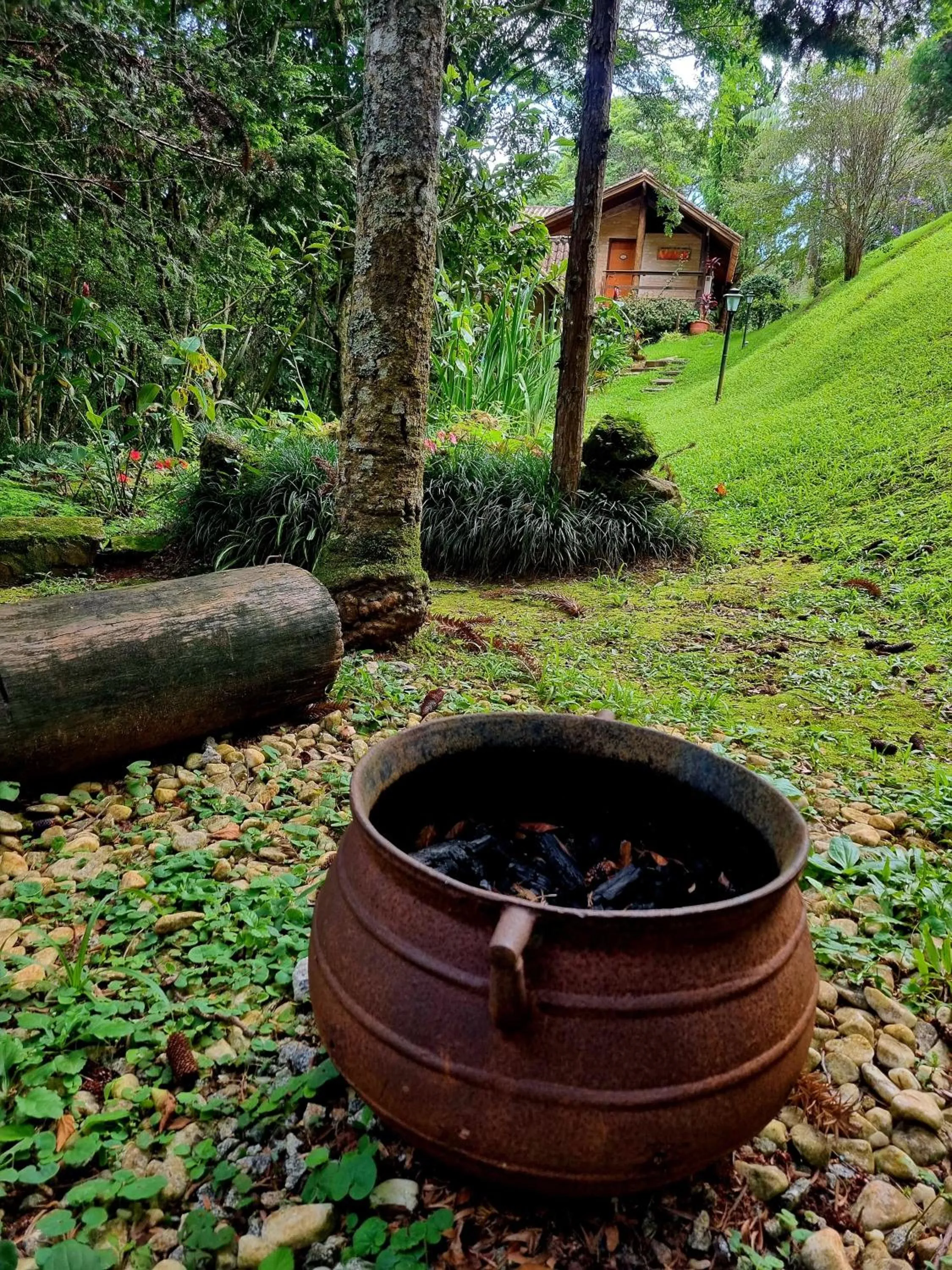 Natural landscape in Pássaro de Fogo