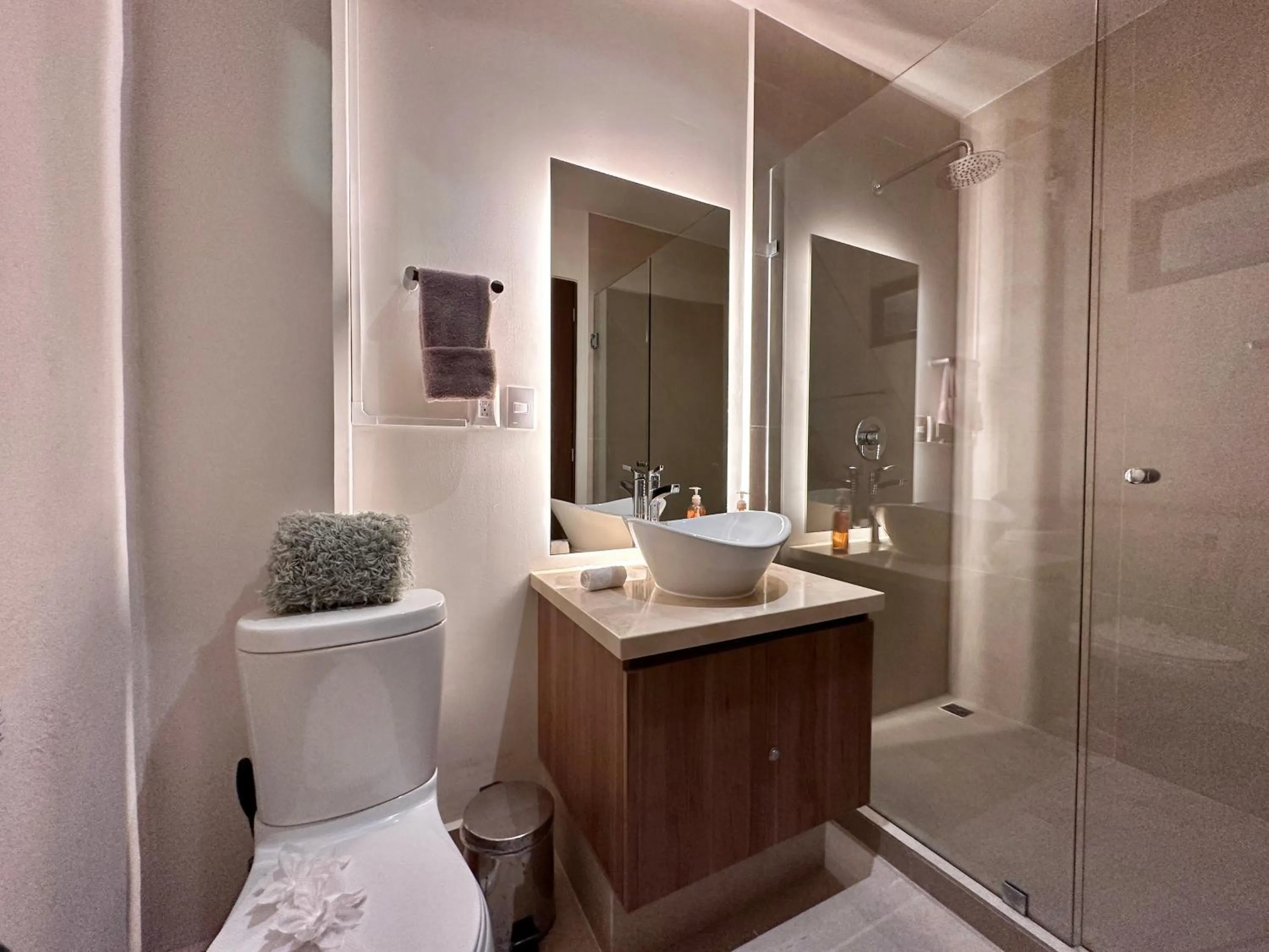 Toilet in San Francisco by Andiani Travel