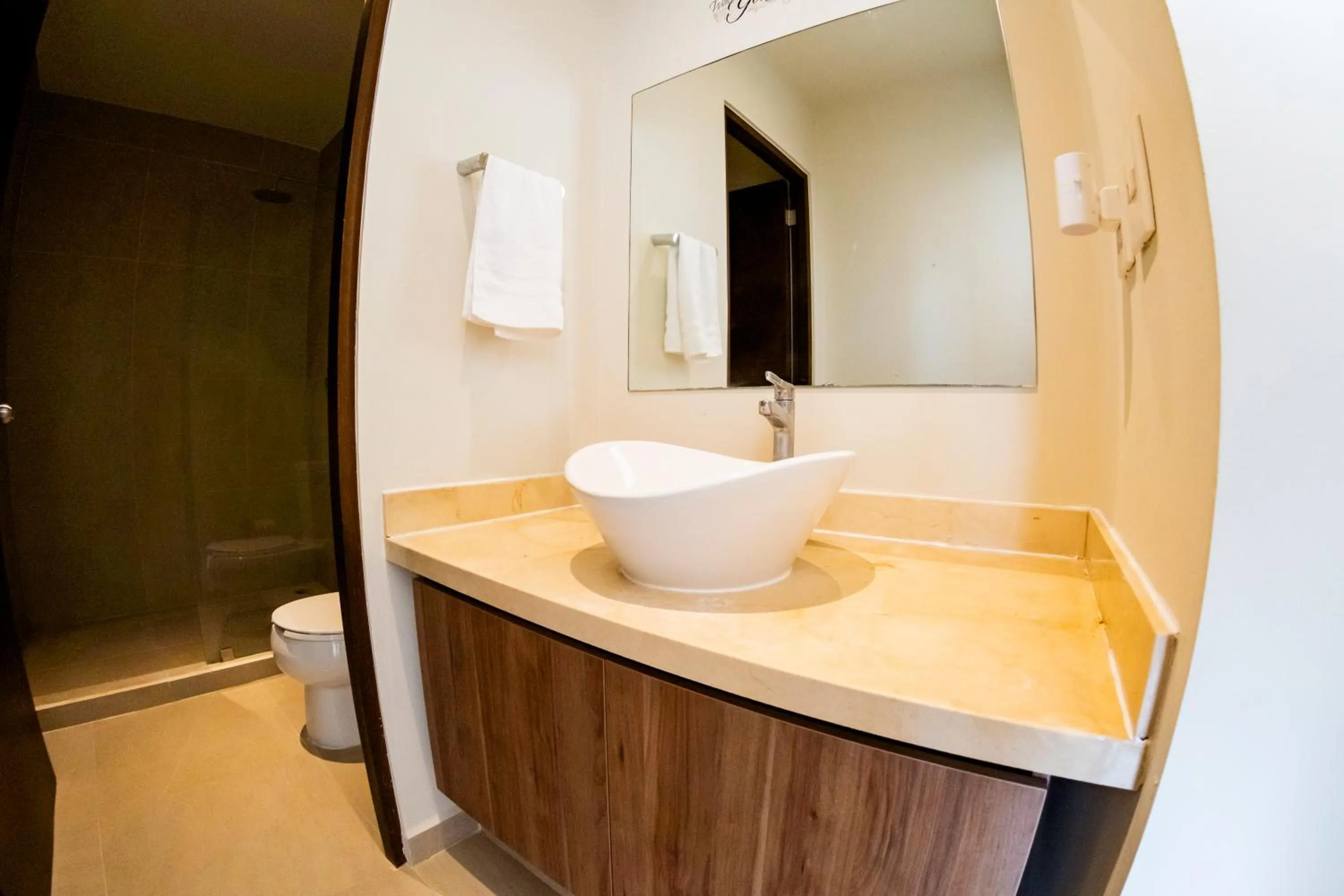 Toilet in San Francisco by Andiani Travel