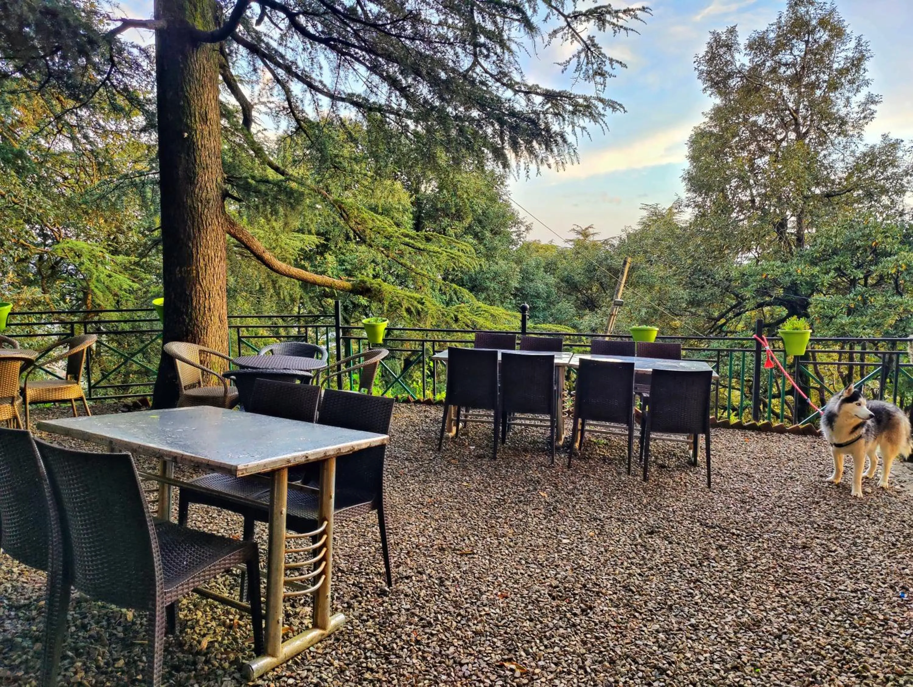 Restaurant/places to eat in Jakhu Vibes