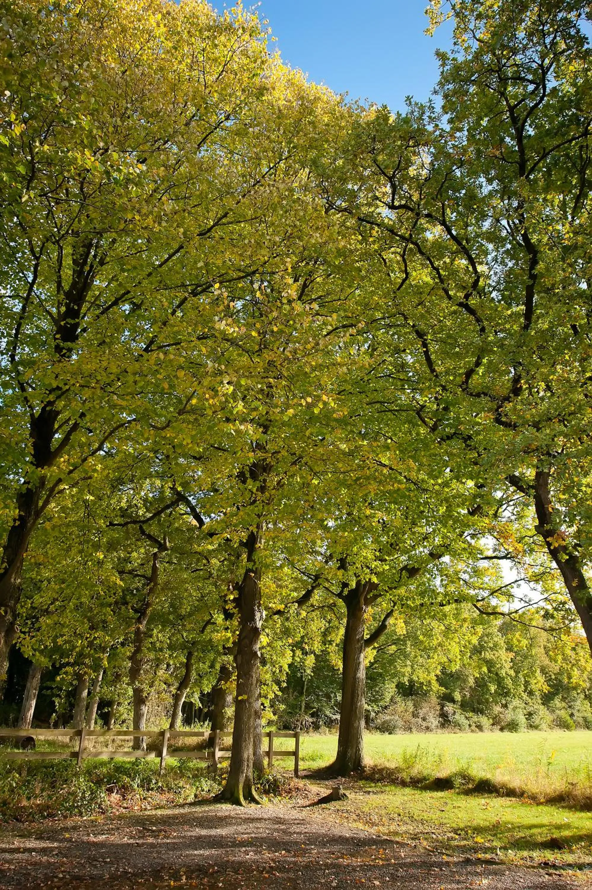 Area and facilities in Hotel Restaurant Het Witte Huis