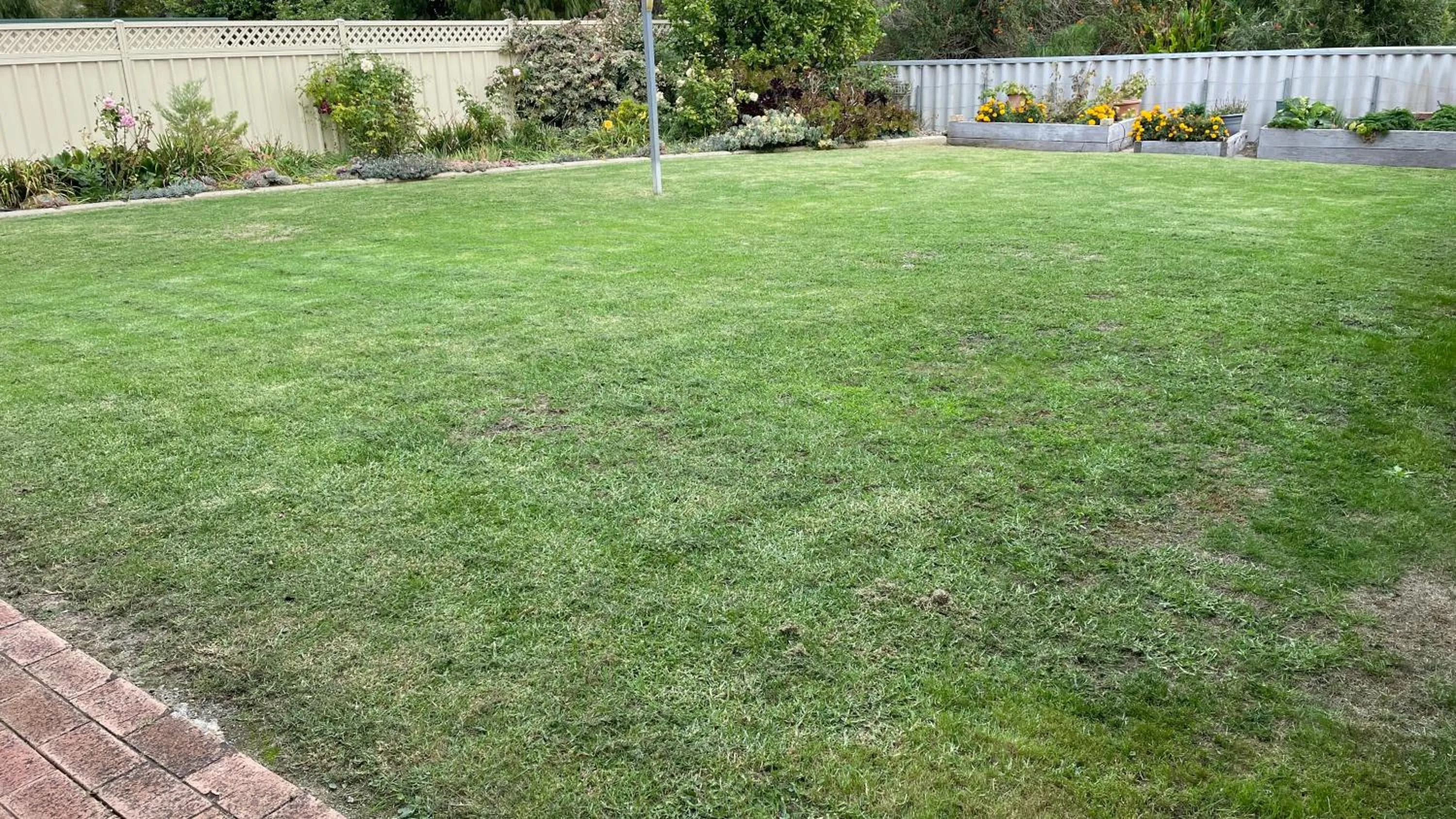 Garden in Sunrise House