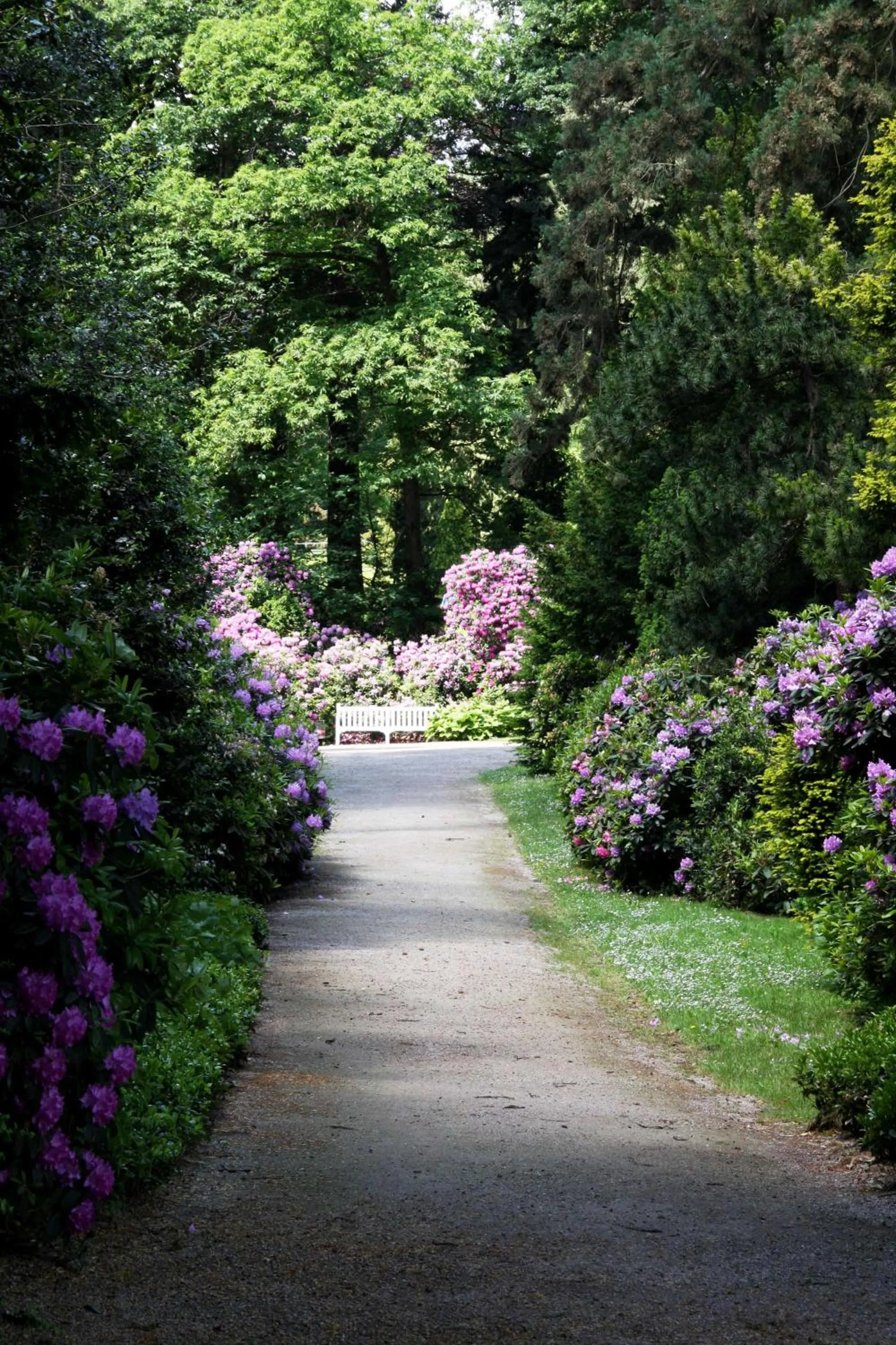 Natural landscape in Schlosshotel Kronberg - Hotel Frankfurt