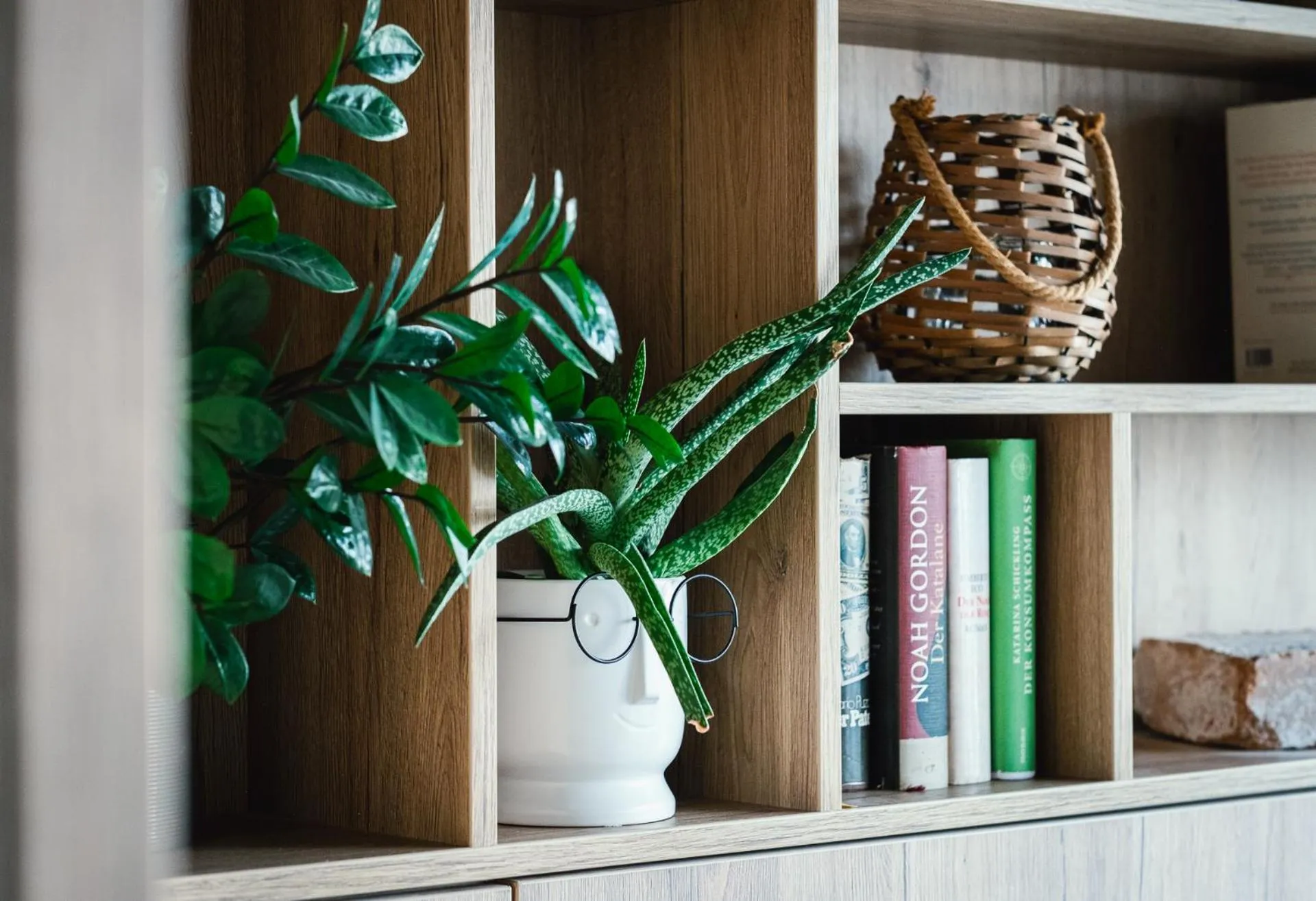 Library in Levy's Rooms & Breakfast