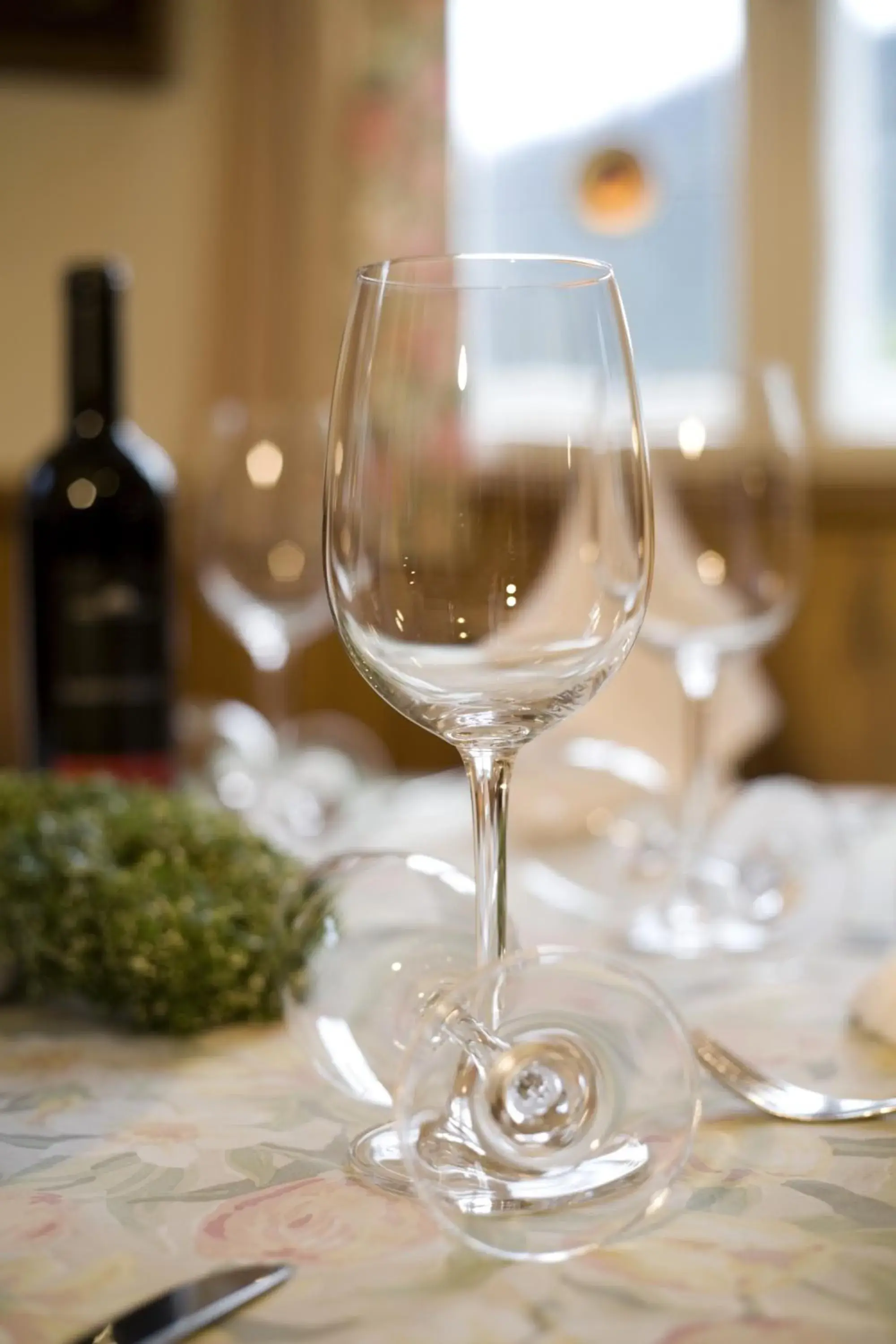 Food in Der Stern - Nachhaltiges Wirtshaus und Landhotel seit 1509 Food in Der Stern - Nachhaltiges Wirtshaus und Landhotel seit 1509