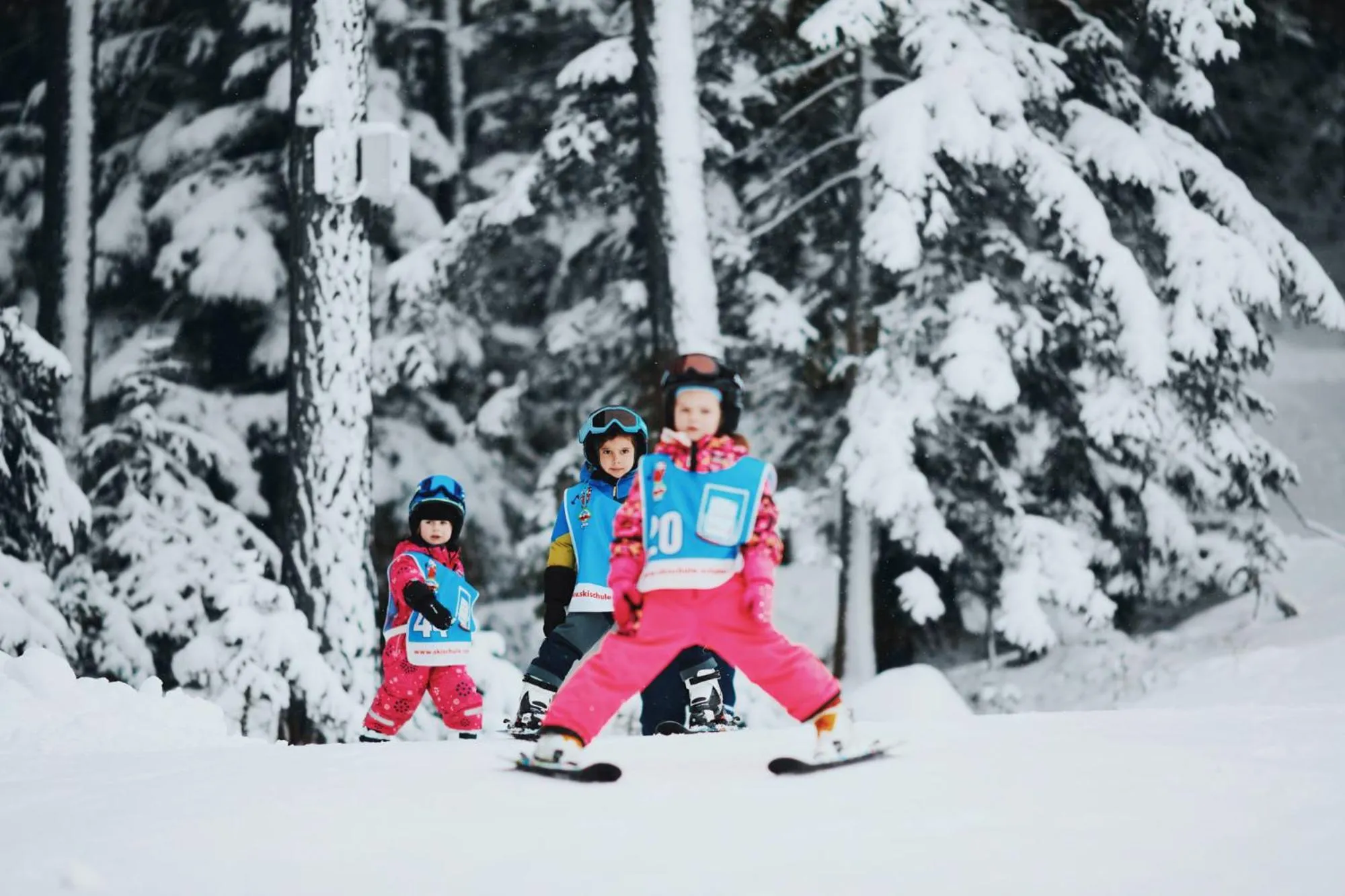 Skiing in Der Stern - Nachhaltiges Wirtshaus und Landhotel seit 1509