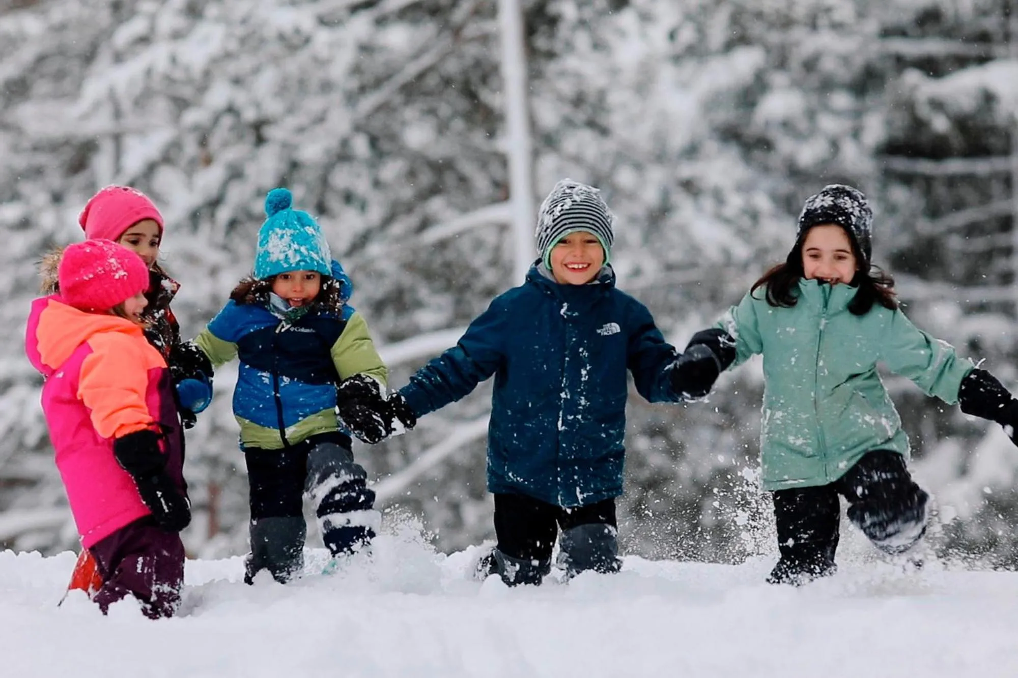 Activities in Der Stern - Nachhaltiges Wirtshaus und Landhotel seit 1509