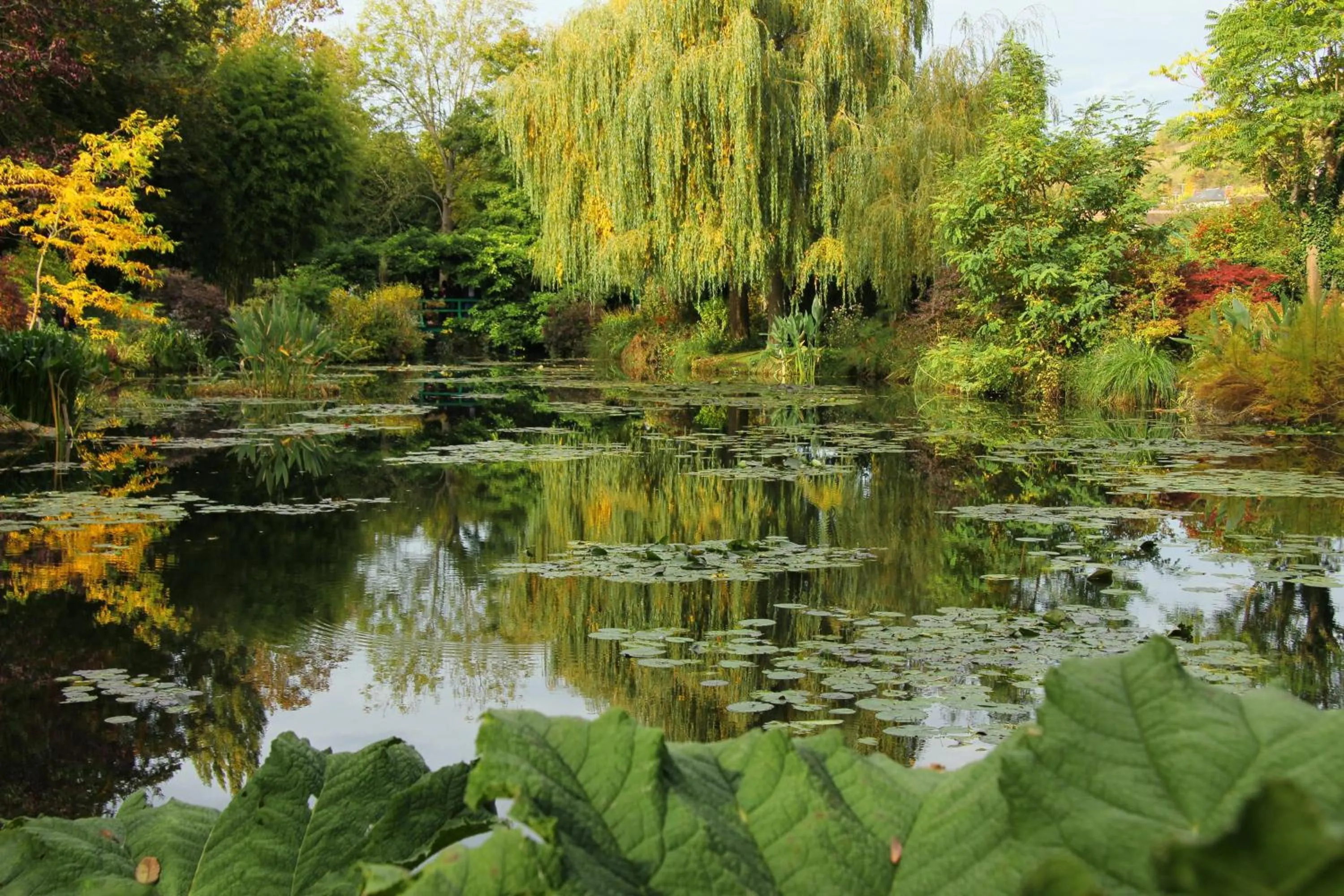 Garden in Forest Farm