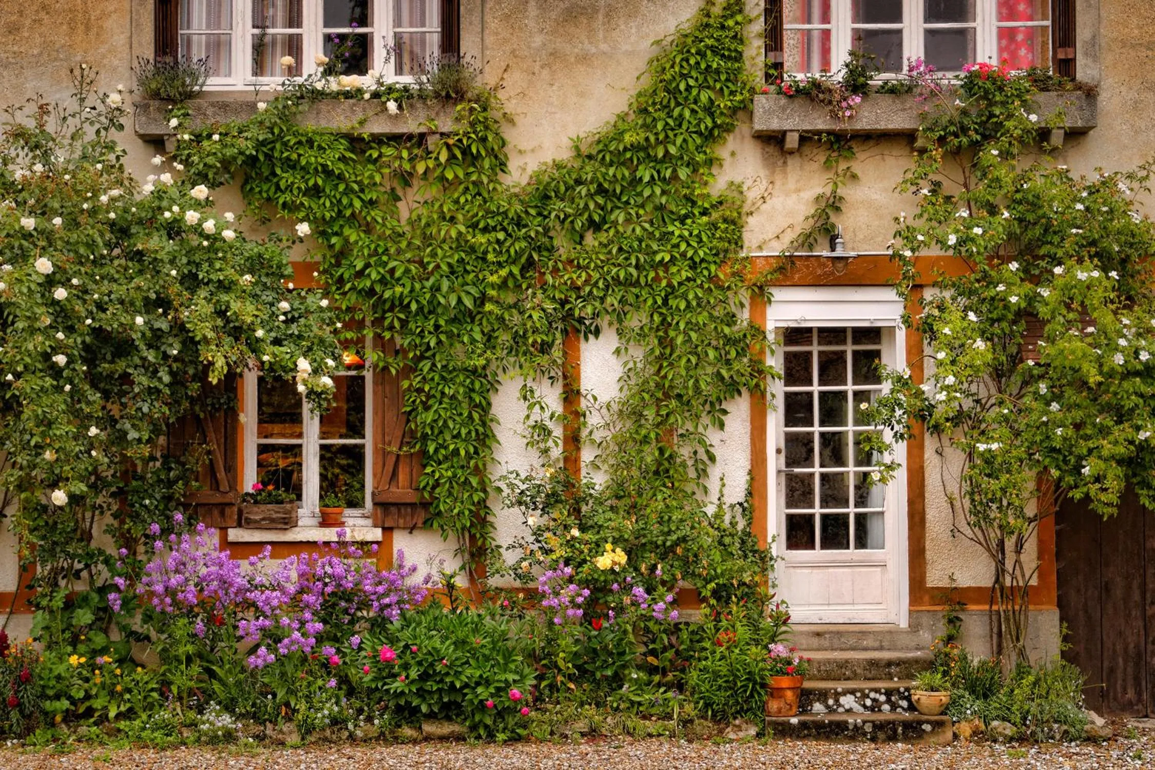 Facade/entrance in Forest Farm