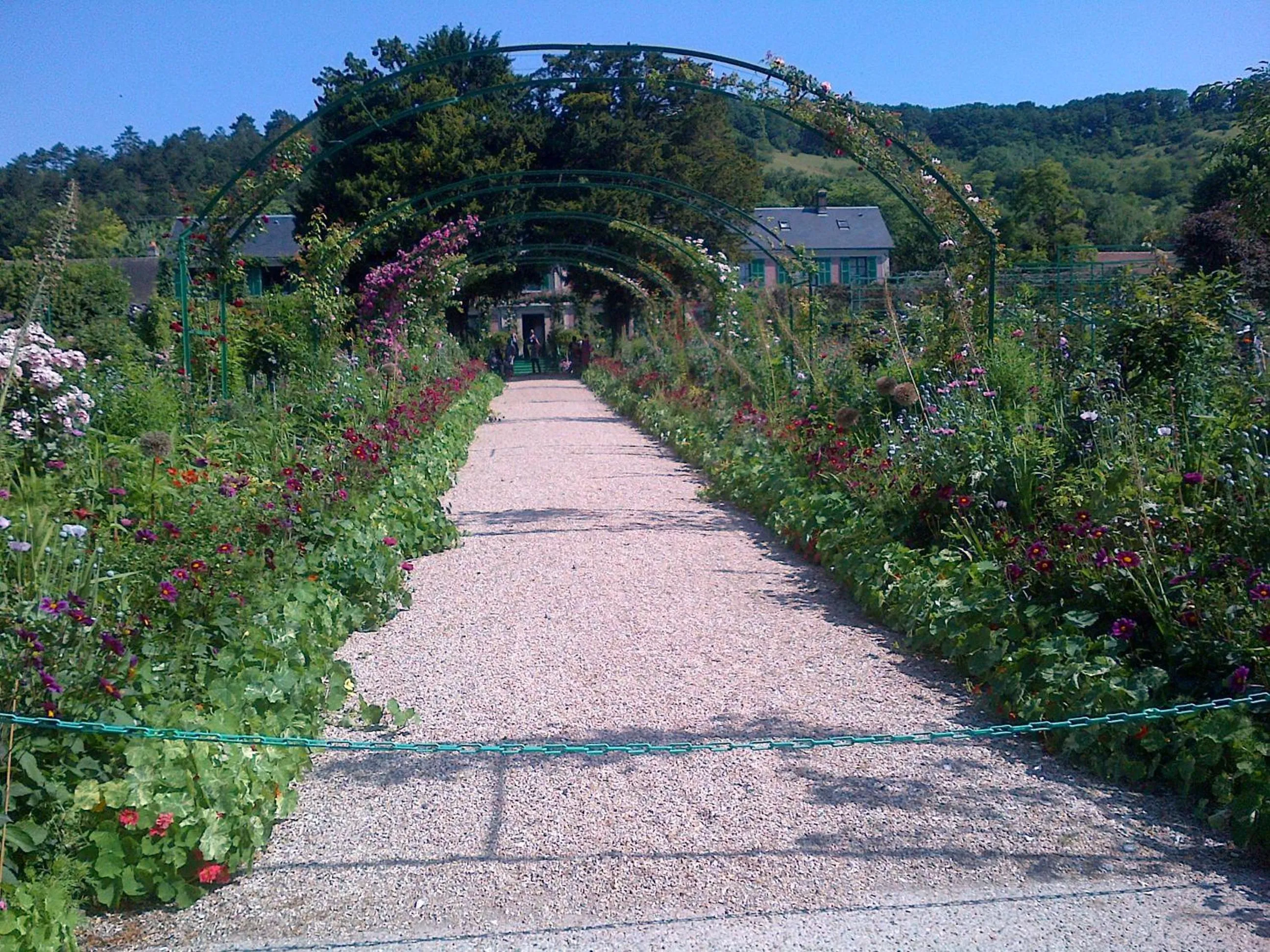 Other in Forest Farm