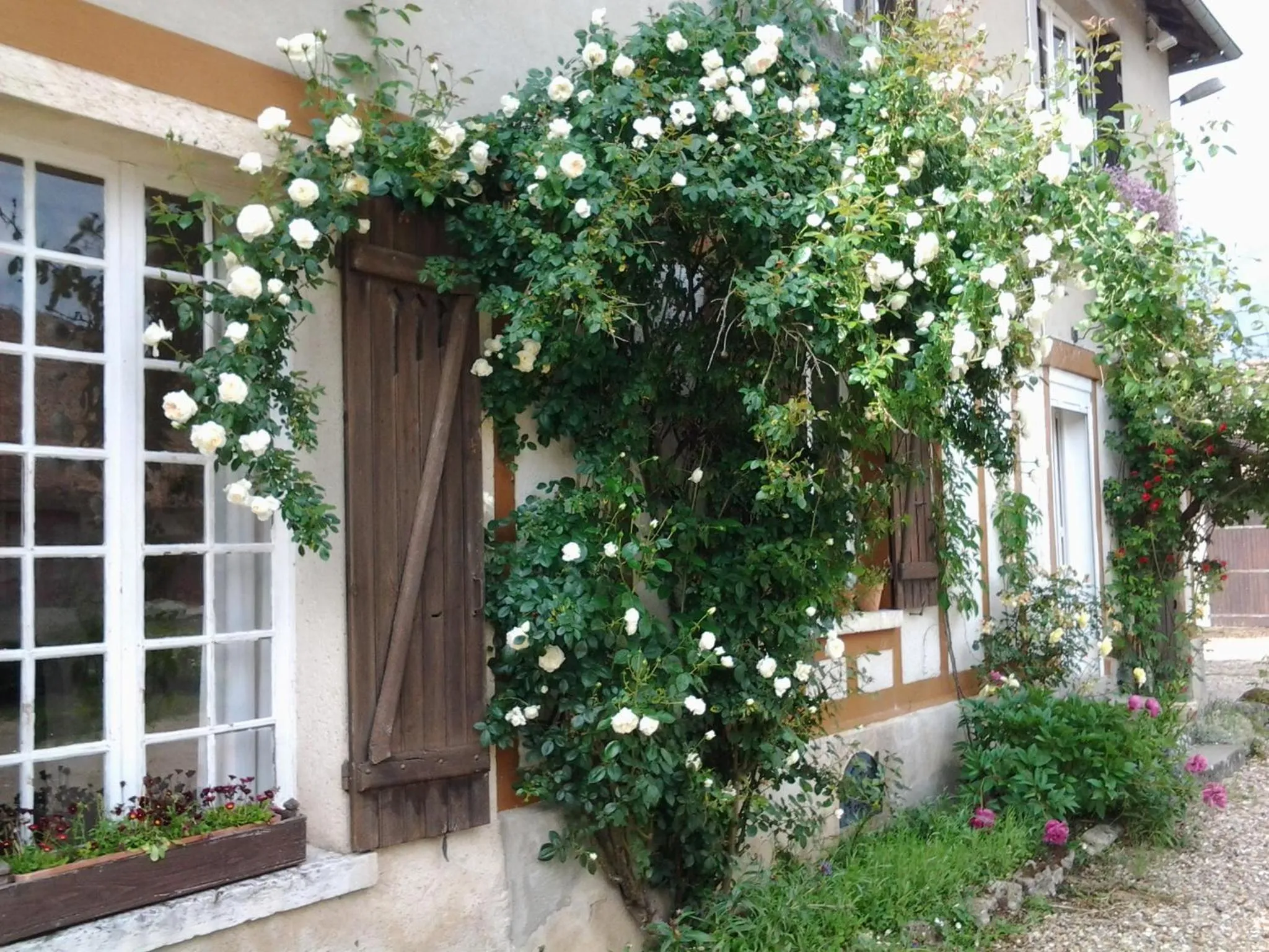 Decorative detail in Forest Farm