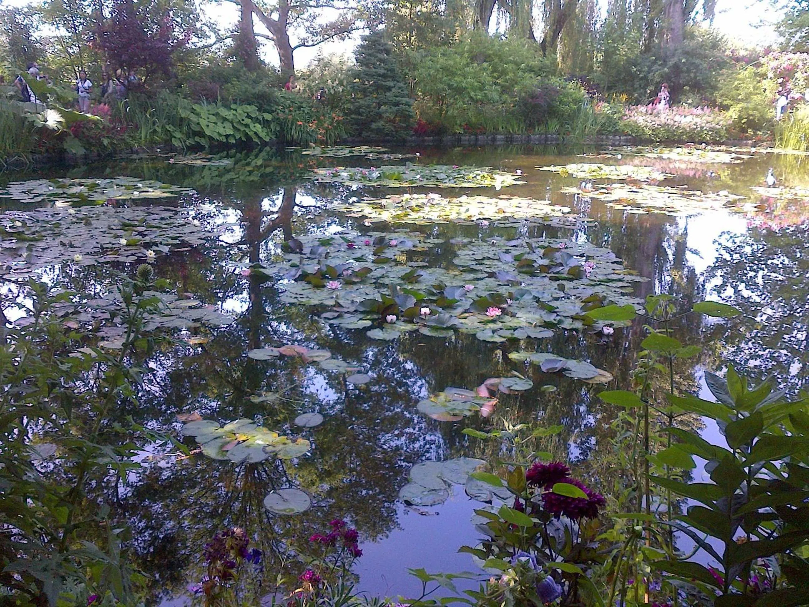 Garden in Forest Farm
