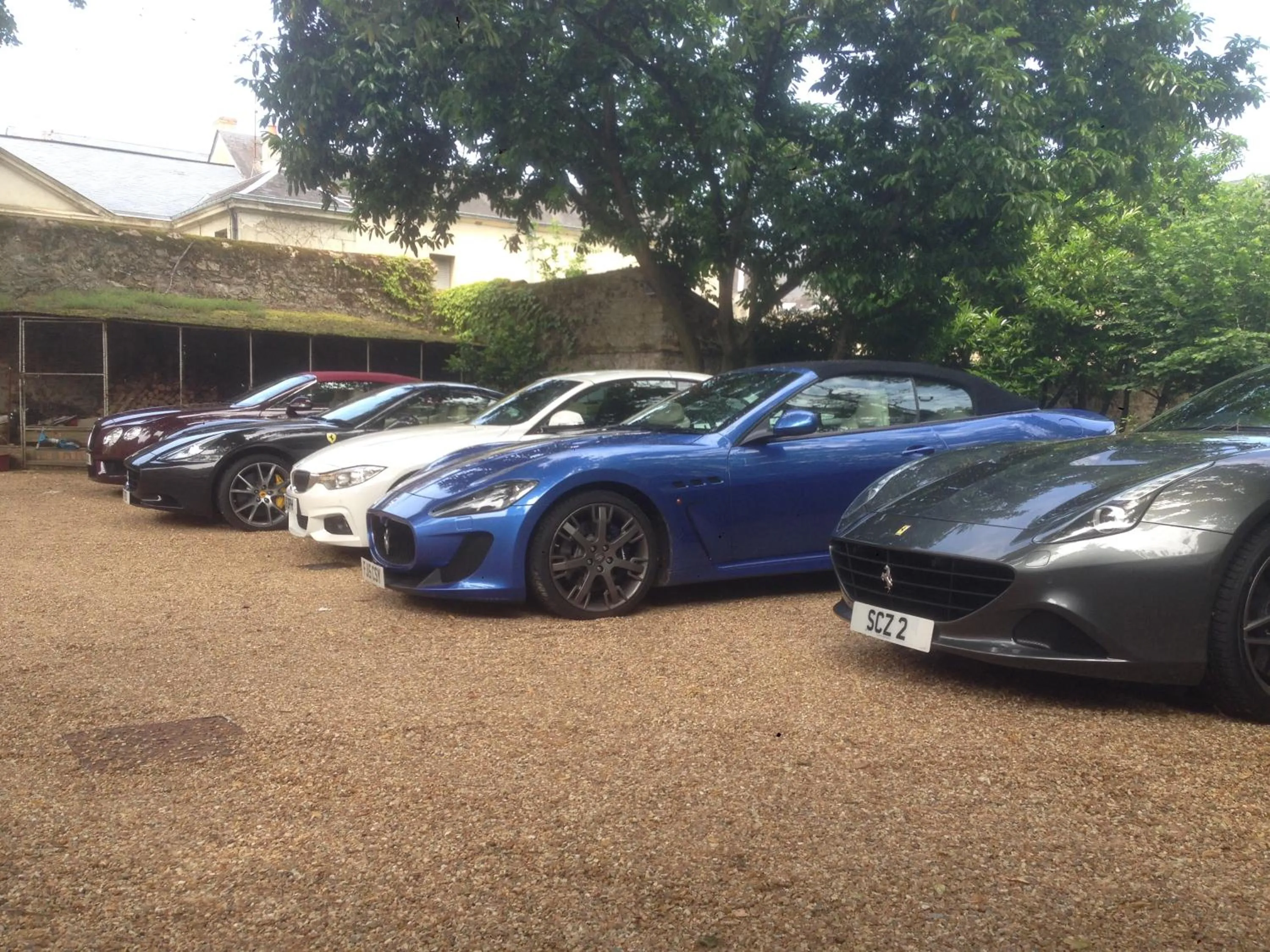 Garden in Hôtel Le Gentleman