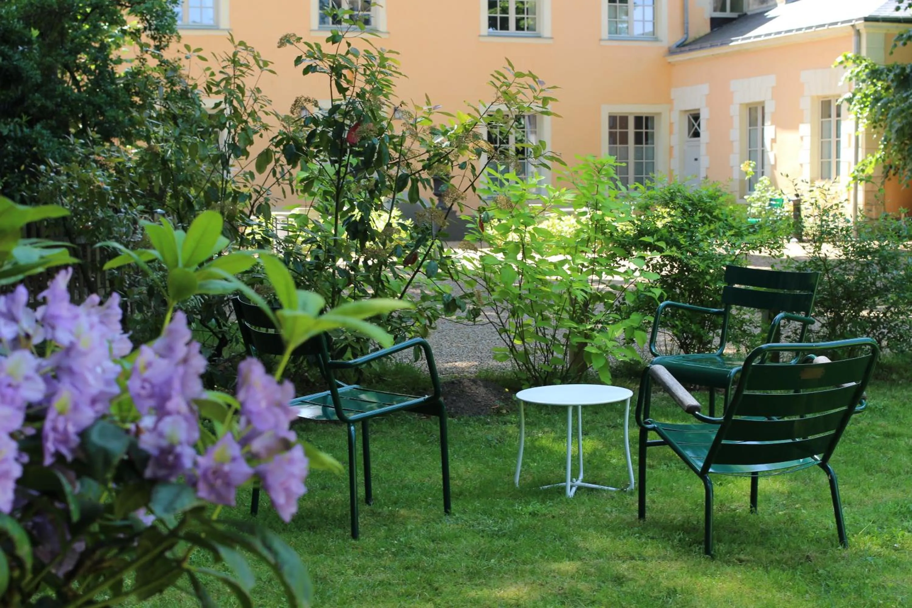 Garden in Hôtel Le Gentleman