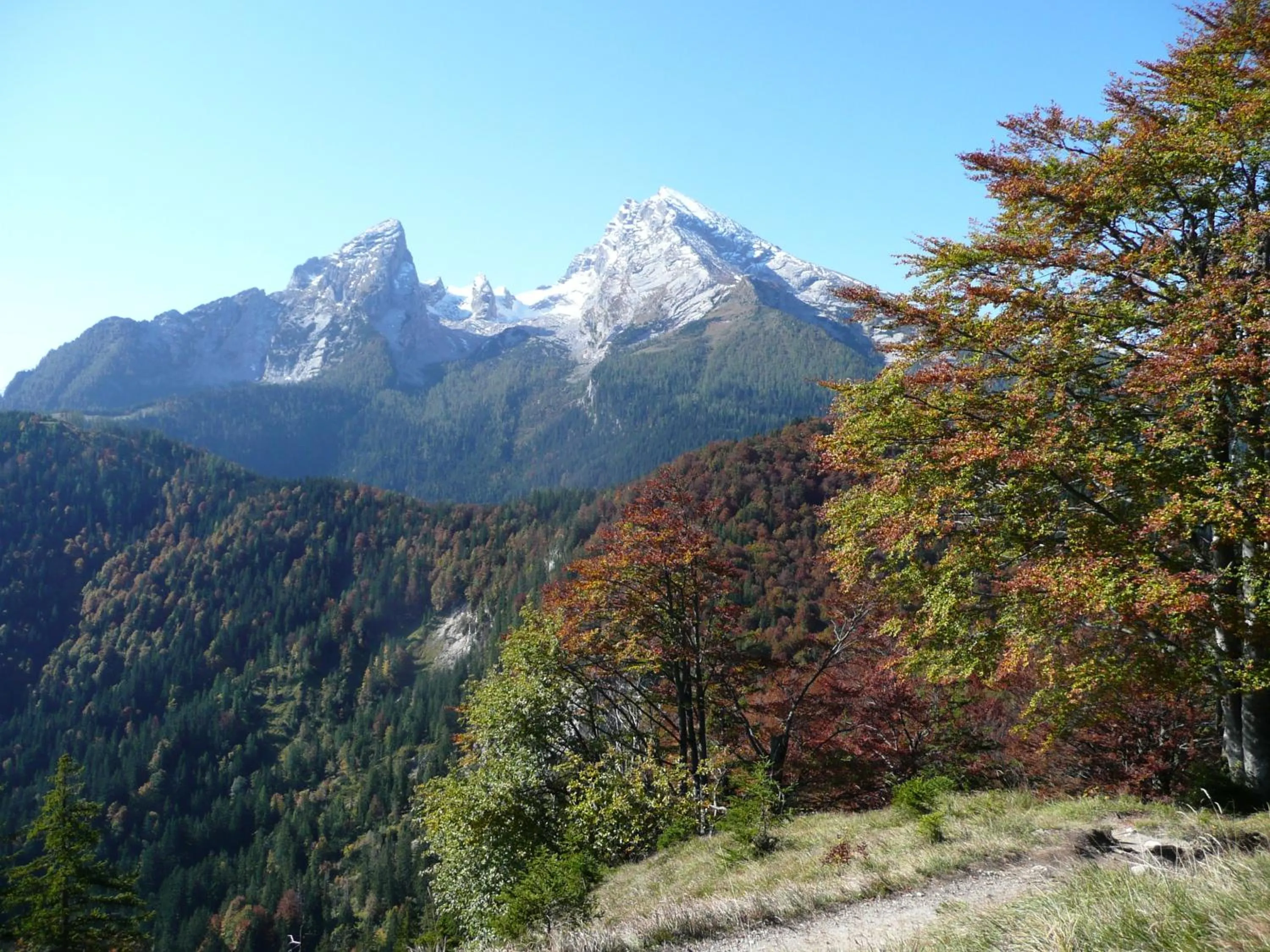 Hiking in Gästehaus Stöckl