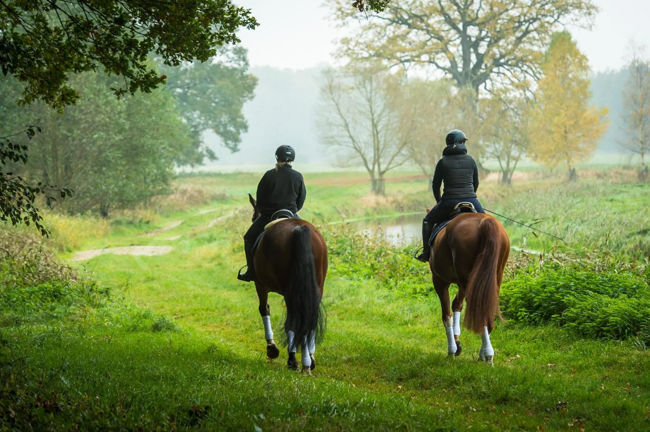 Area and facilities in Schloss Basthorst