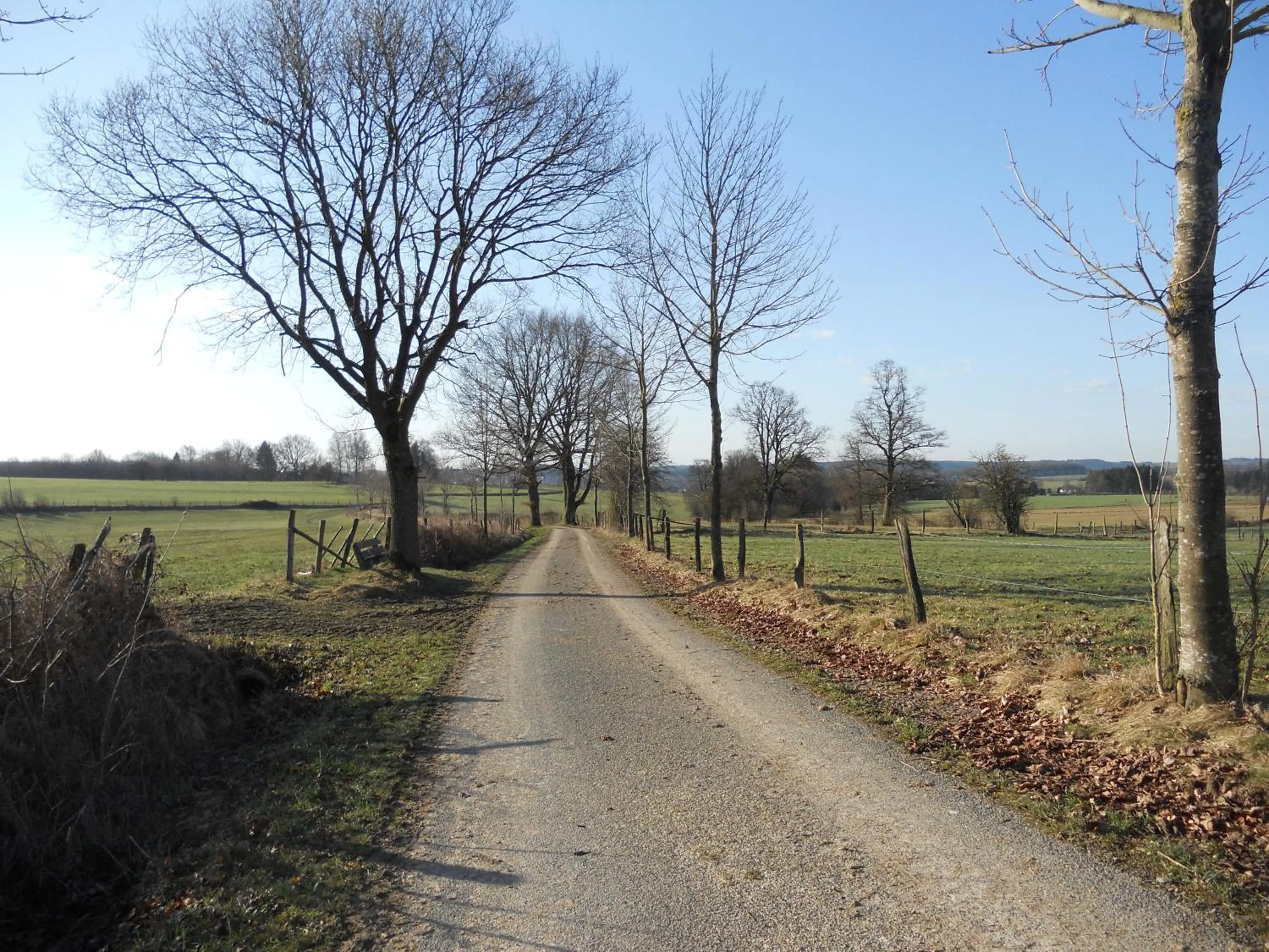 Other in B&B V.K. PGmbH