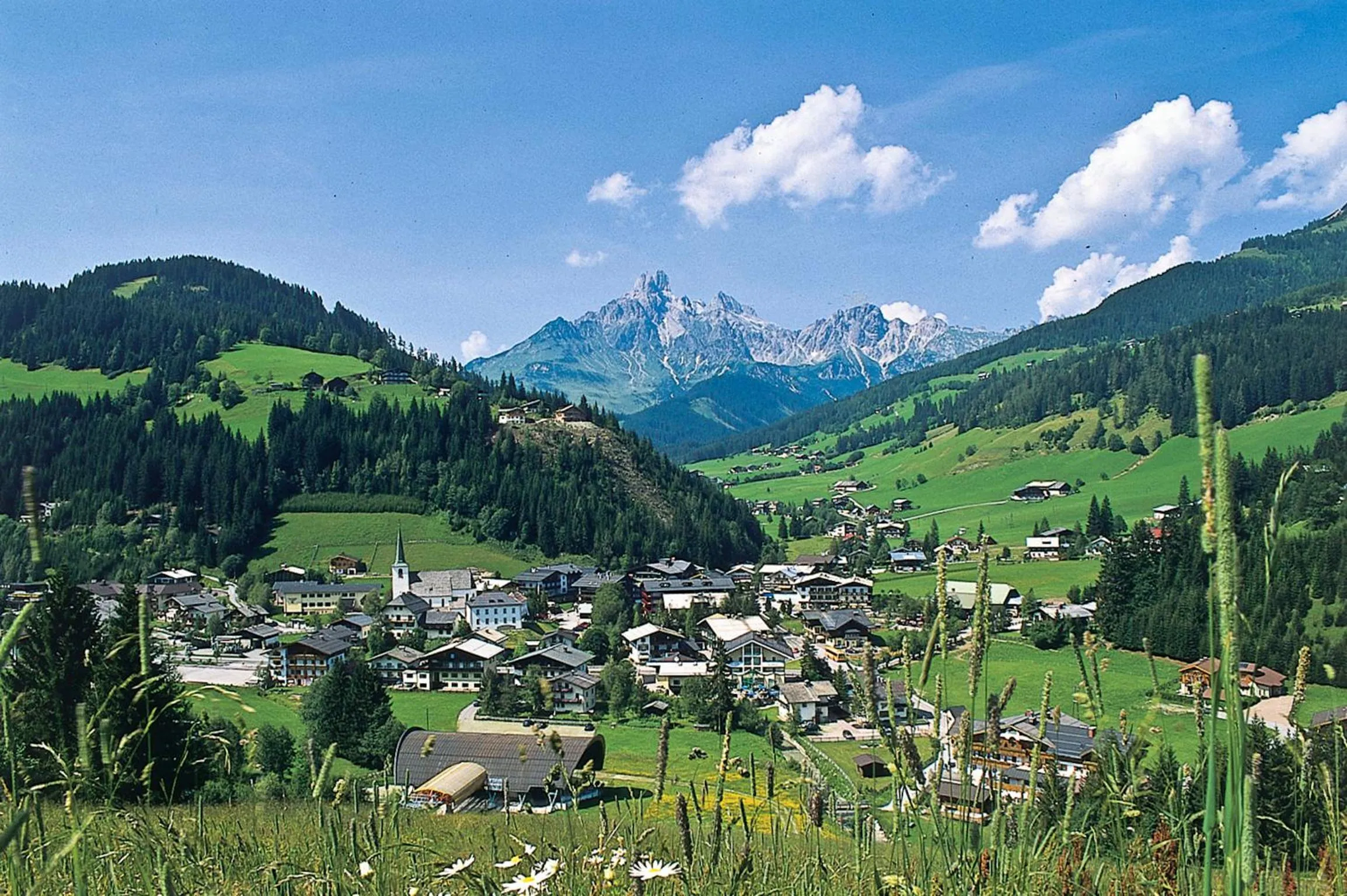 Area and facilities in Hotel Alpenblick