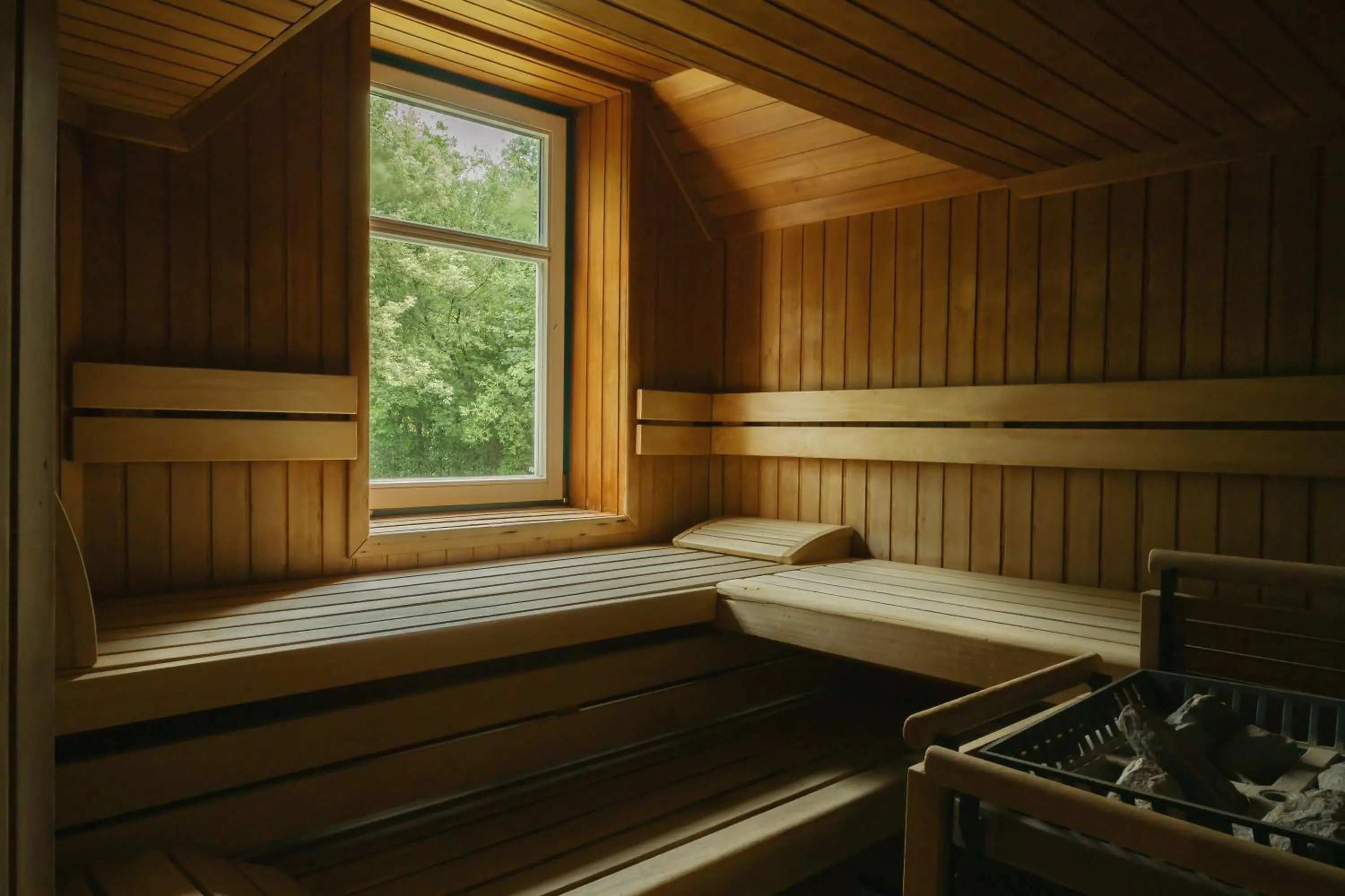 Sauna in Hotel Albizia