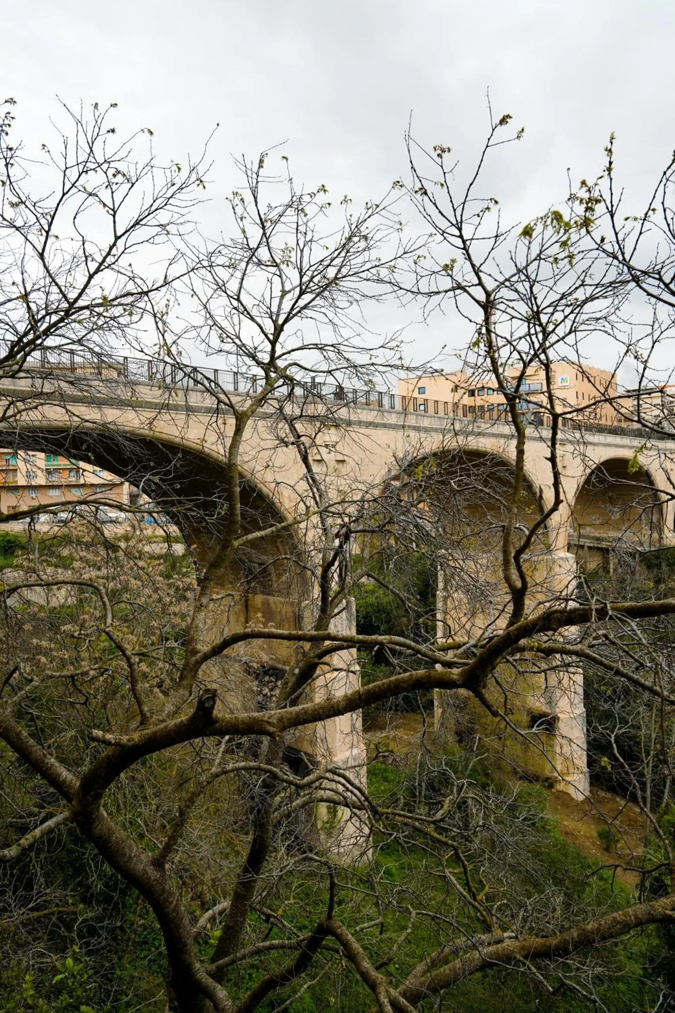 Bird's eye view in Finestra sui Ponti