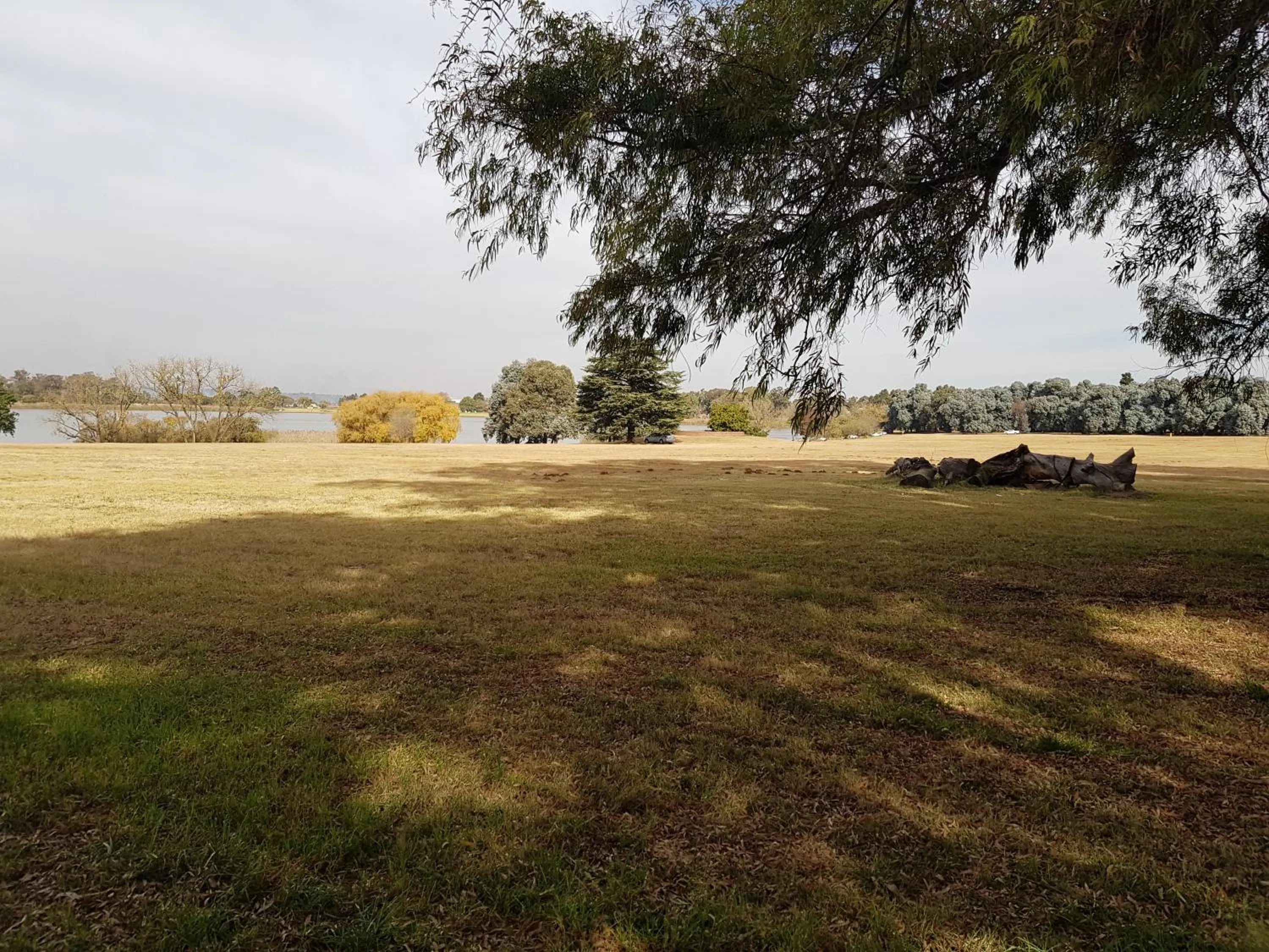 View (from property/room) in Airport Tower Lodge