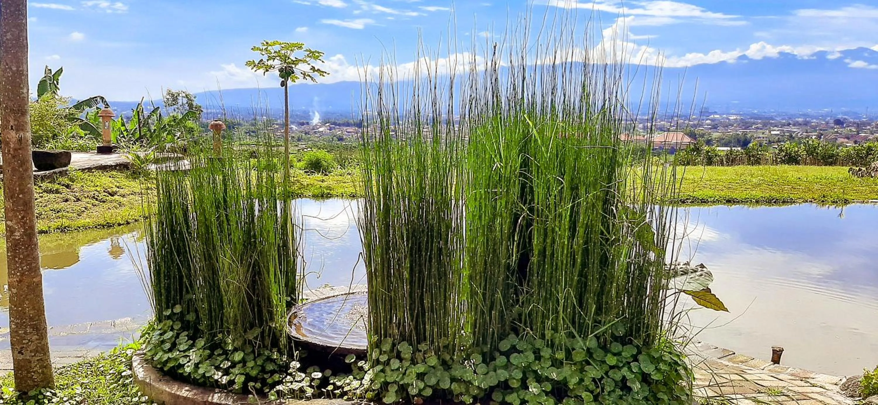 Lake view in Villa Kebun Jeruk Syariah Malang by ecommerceloka