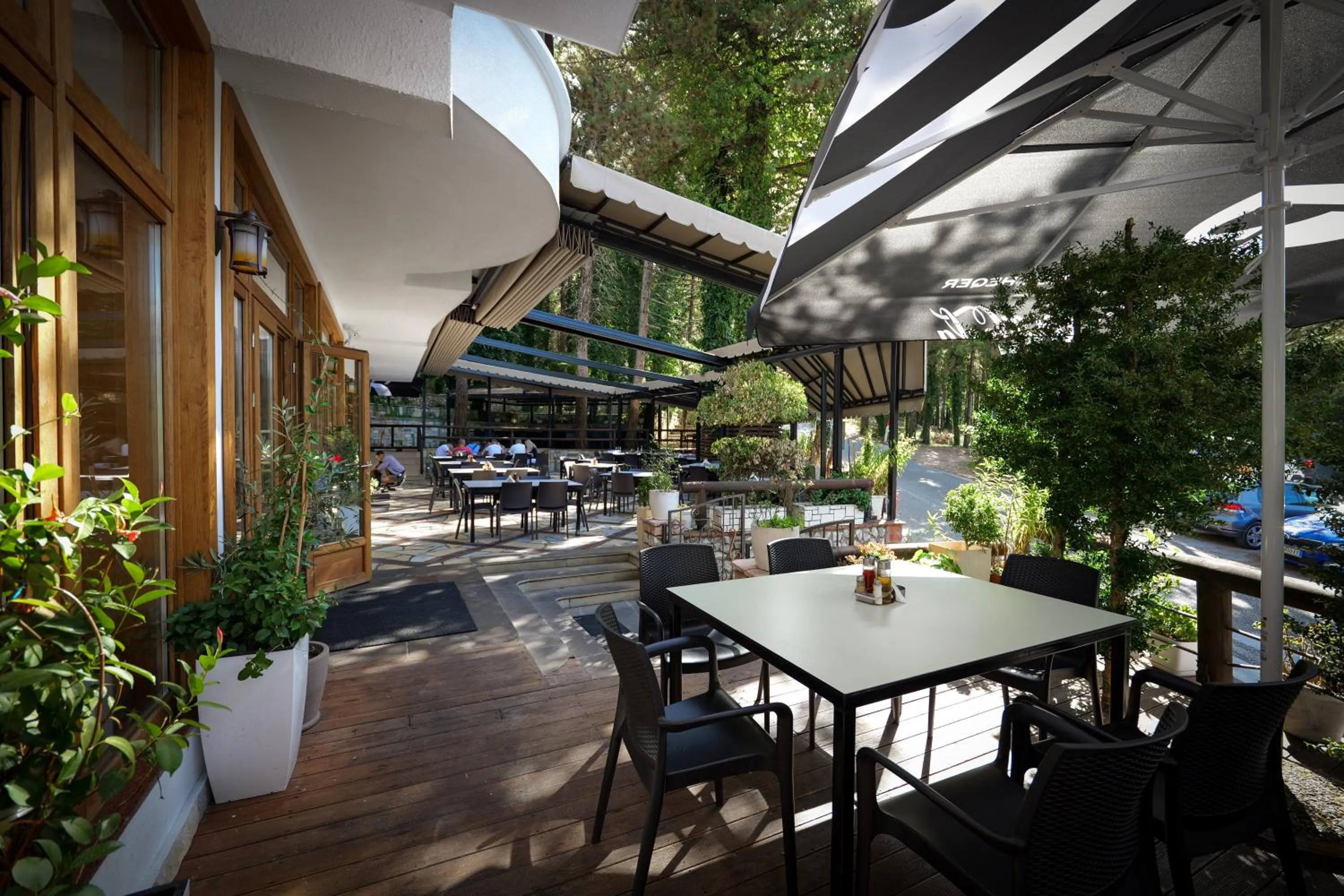 Restaurant/places to eat in Hotel Sofo