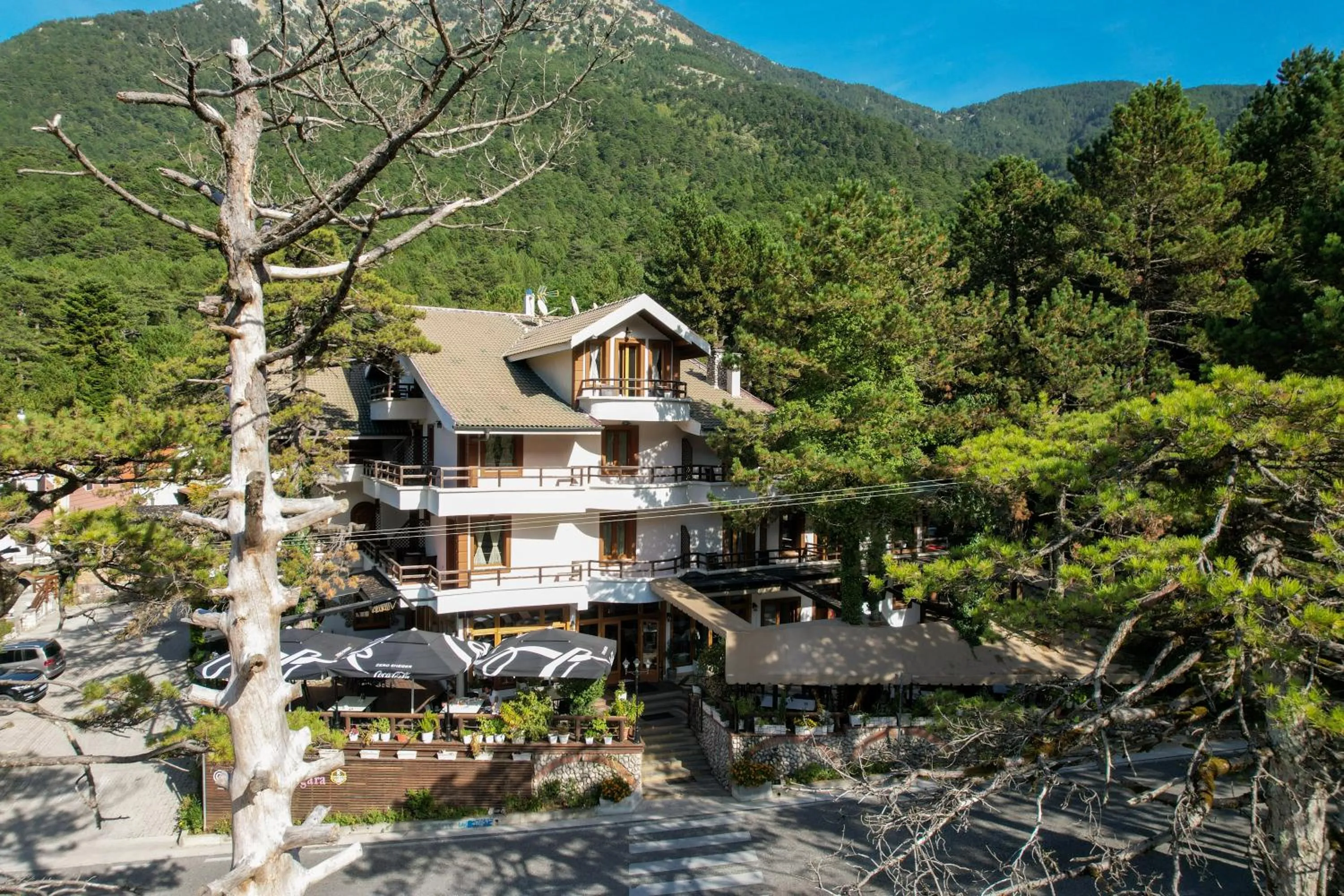 Property building in Hotel Sofo