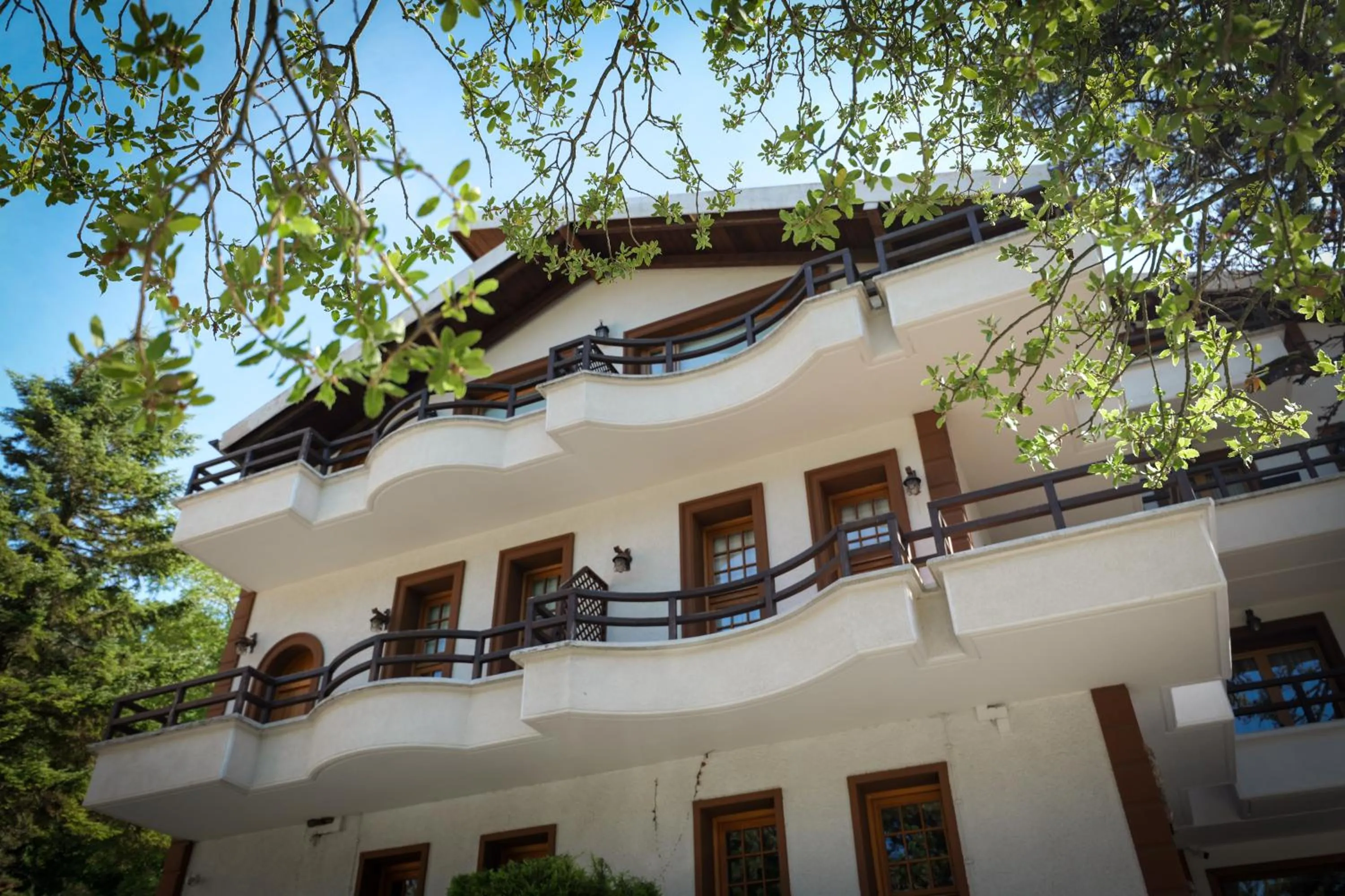 Property building in Hotel Sofo