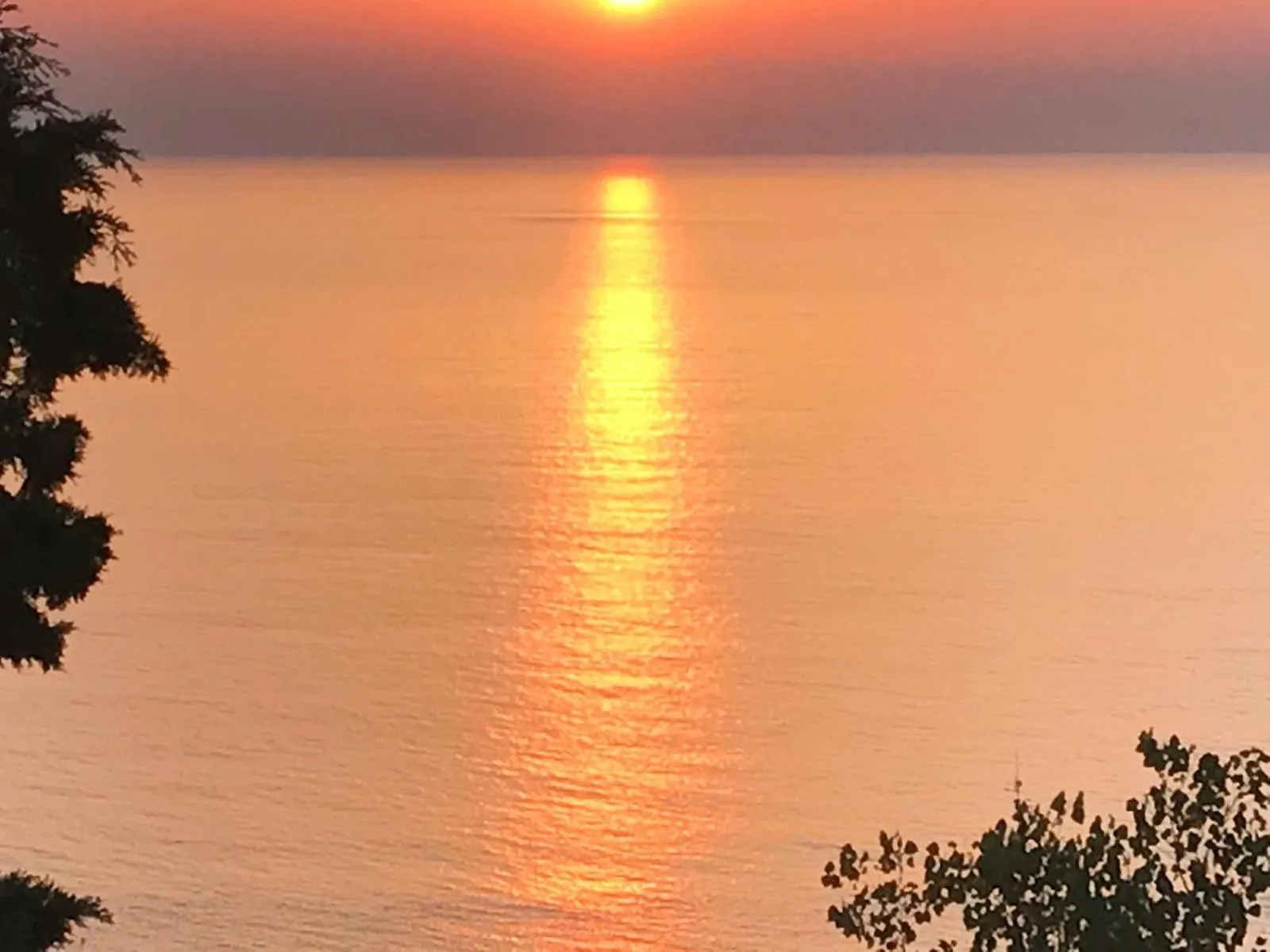Hotel La Fattoria Sul Mare