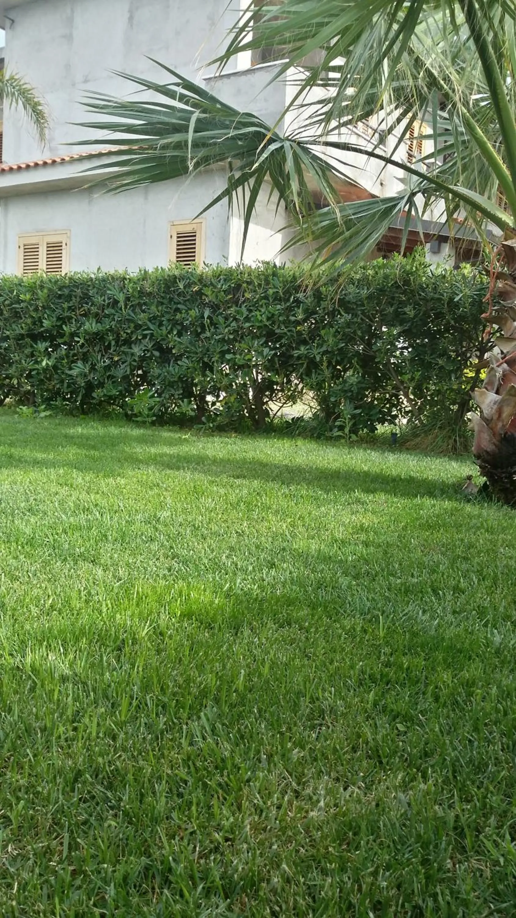 Garden in Hotel La Fattoria Sul Mare