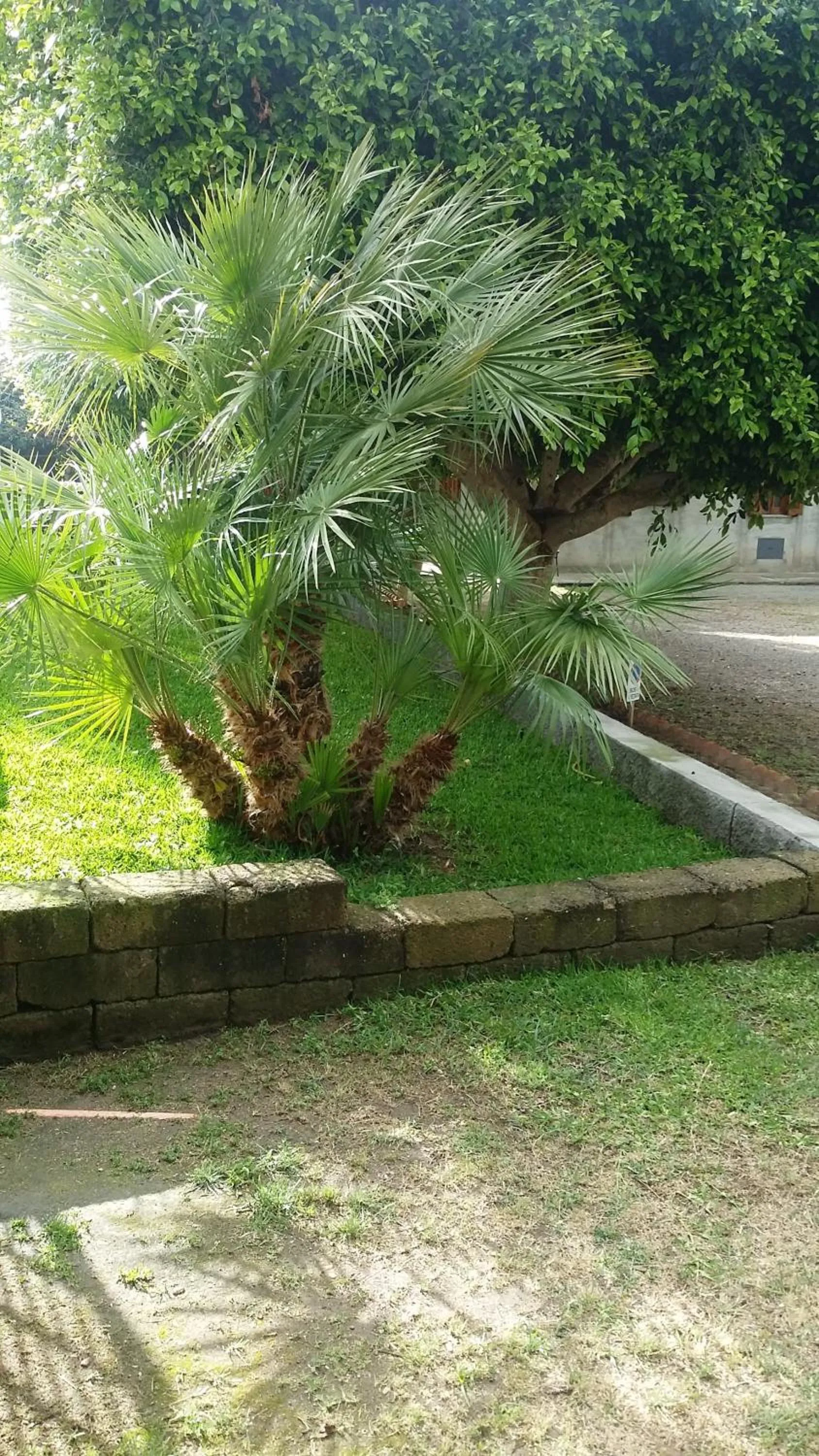 Garden in Hotel La Fattoria Sul Mare