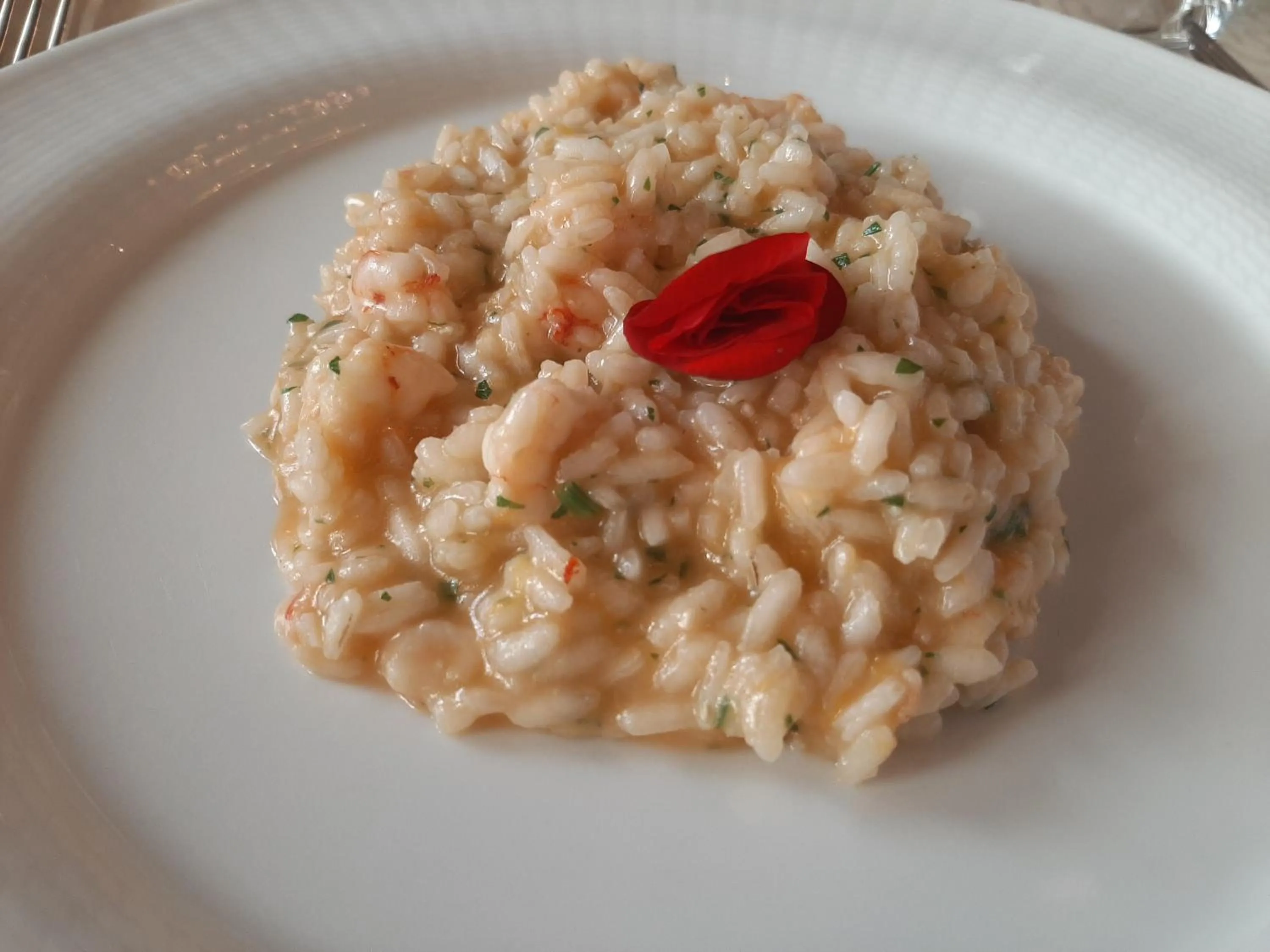 Hotel La Fattoria Sul Mare