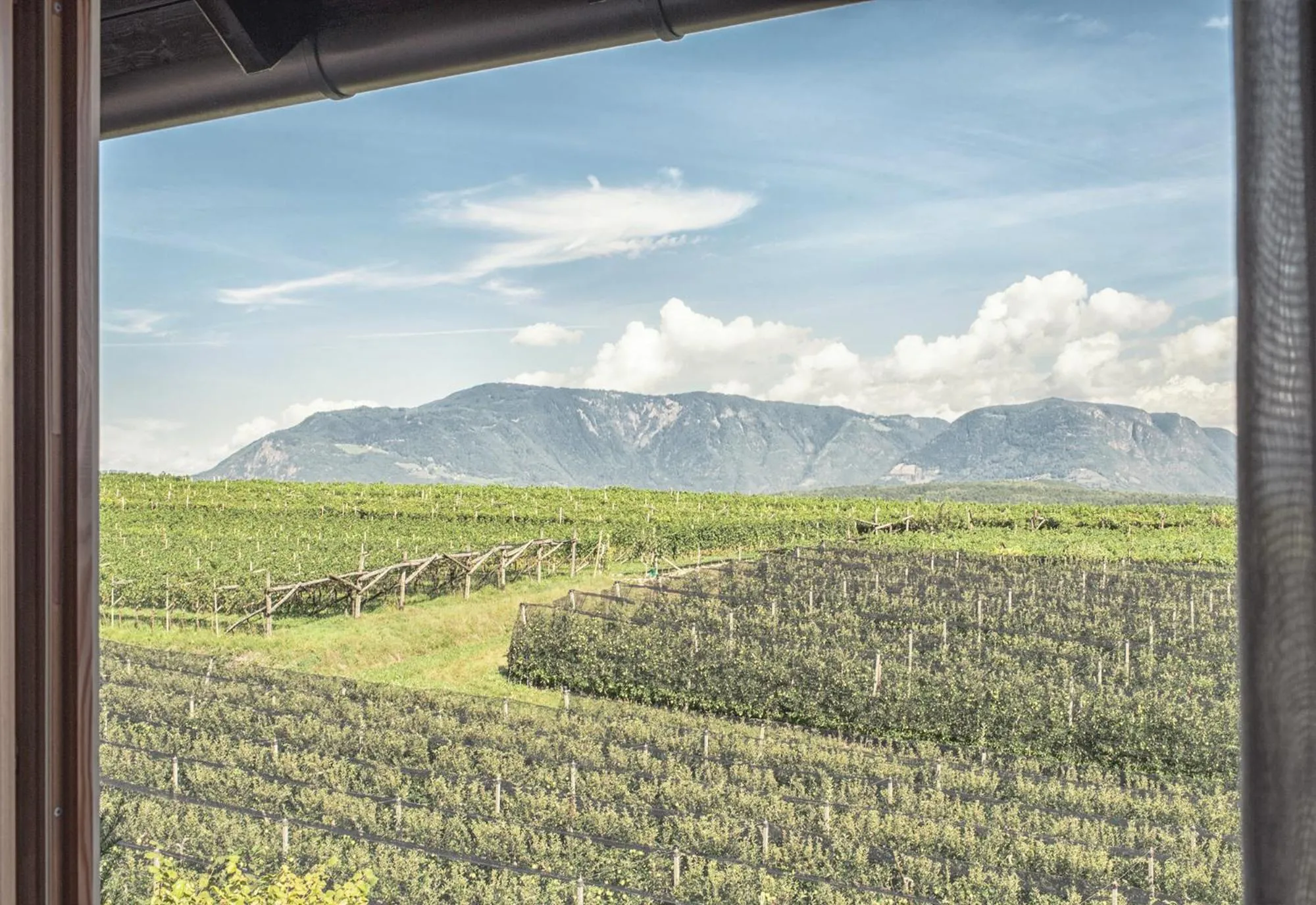 Natural landscape in Das Wanda