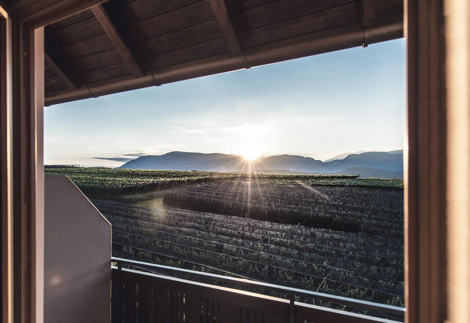 Balcony/Terrace in Das Wanda