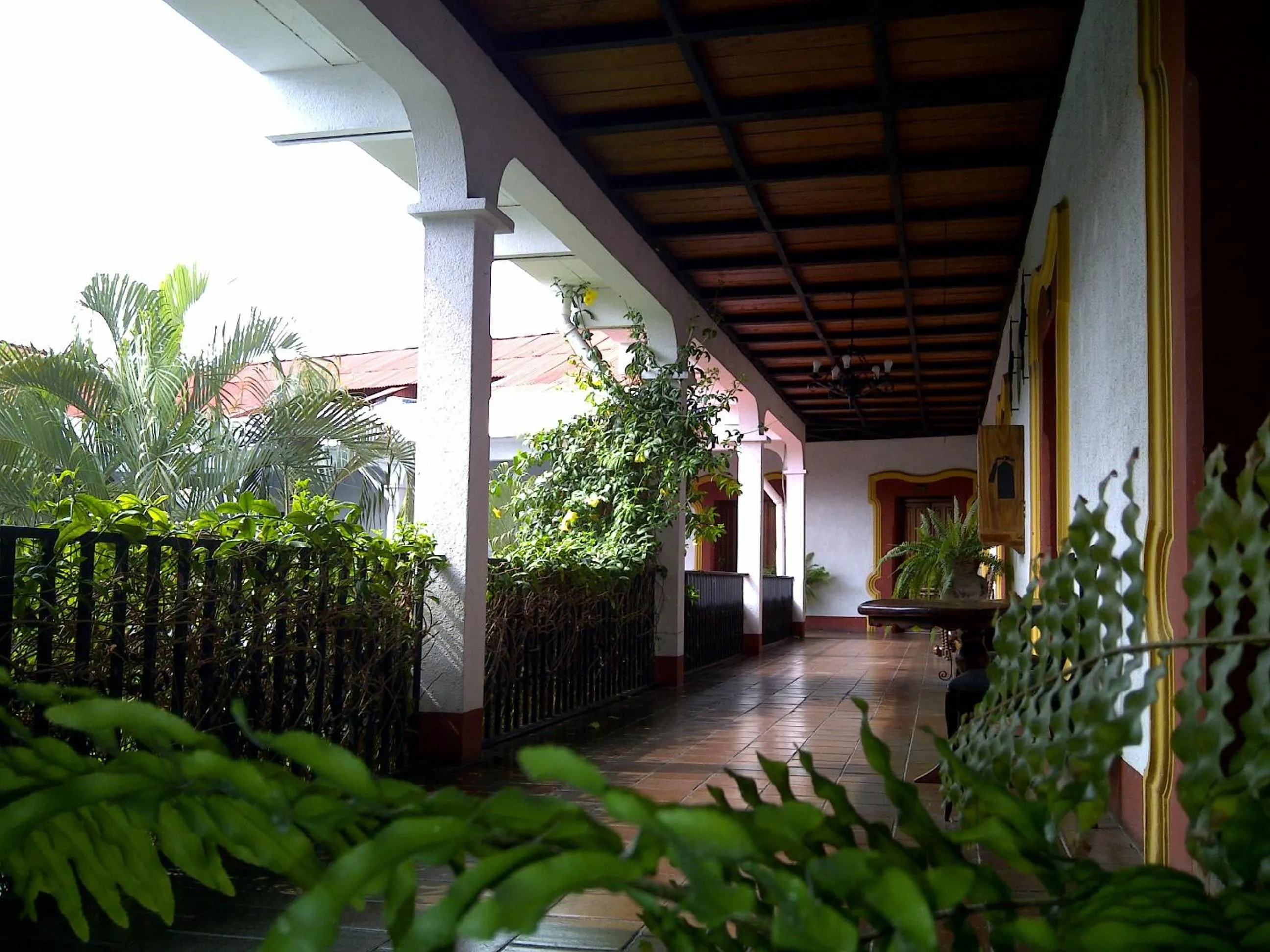 View (from property/room) in Hotel Posada de Don José