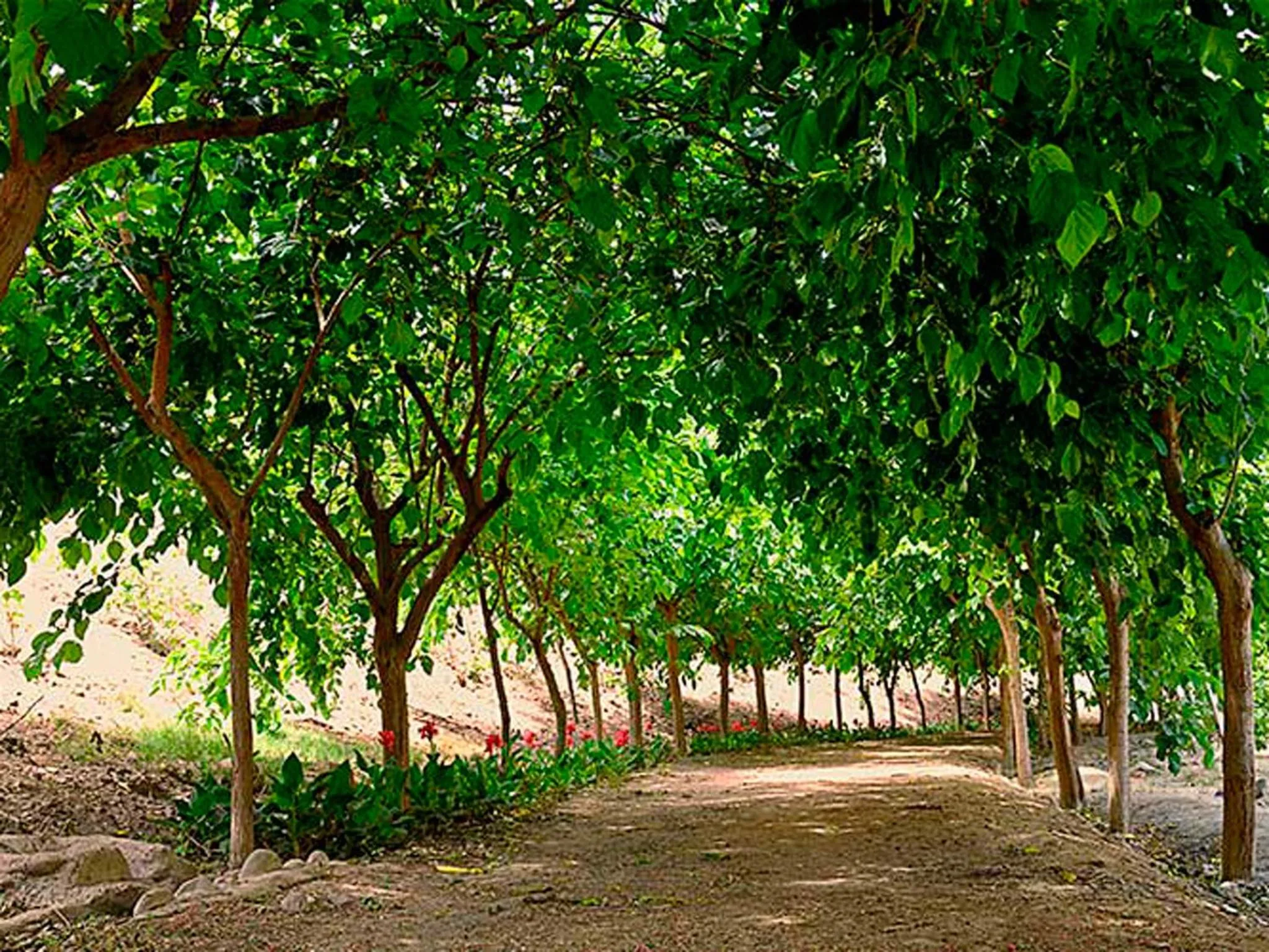 View (from property/room) in Guizado Portillo Hacienda & Resort