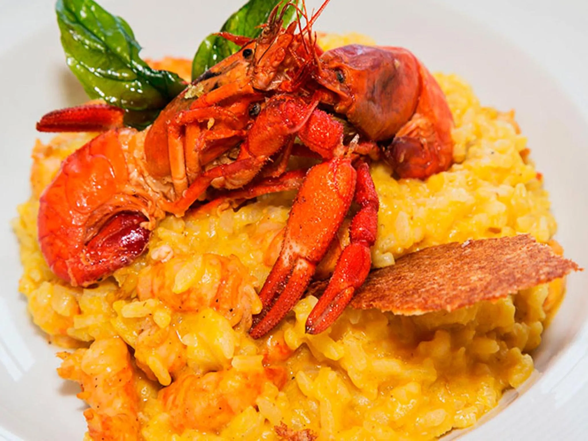 Restaurant/places to eat in Guizado Portillo Hacienda & Resort