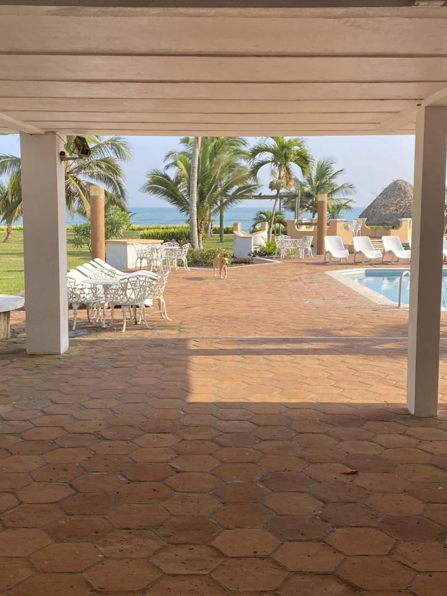 Natural landscape in Hotel Torre Molino