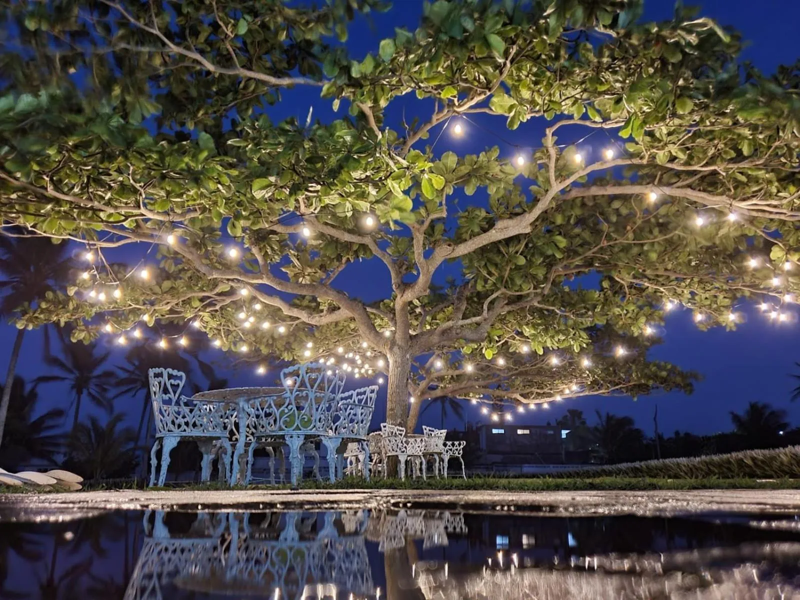 Natural landscape in Hotel Torre Molino