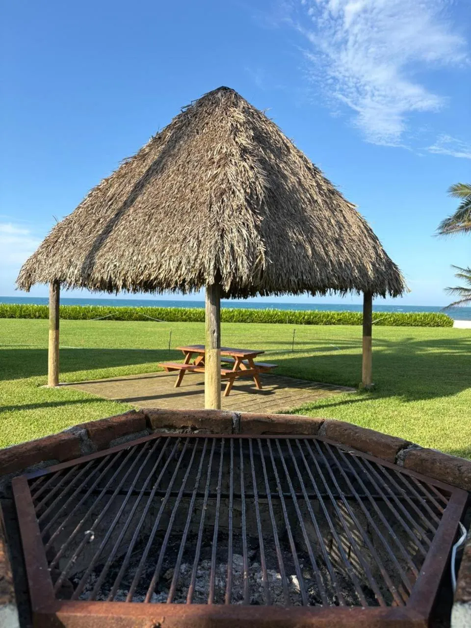 Garden in Hotel Torre Molino