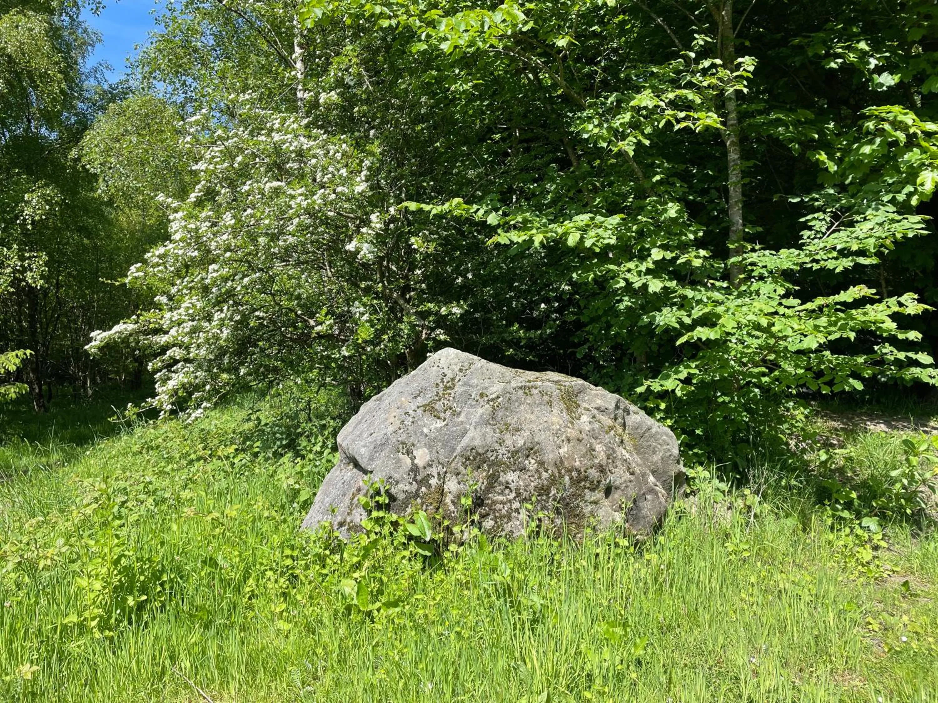 Wellsfield Farm Holiday Lodges