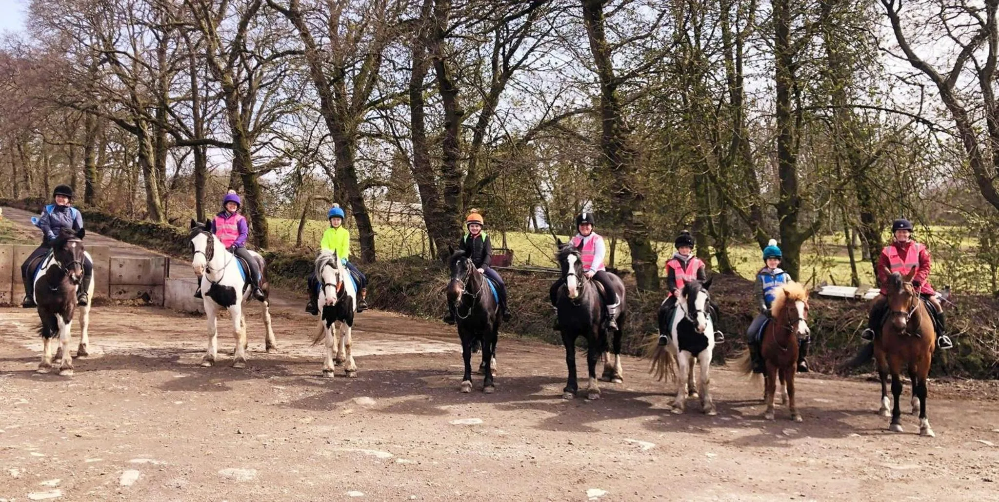 Wellsfield Farm Holiday Lodges